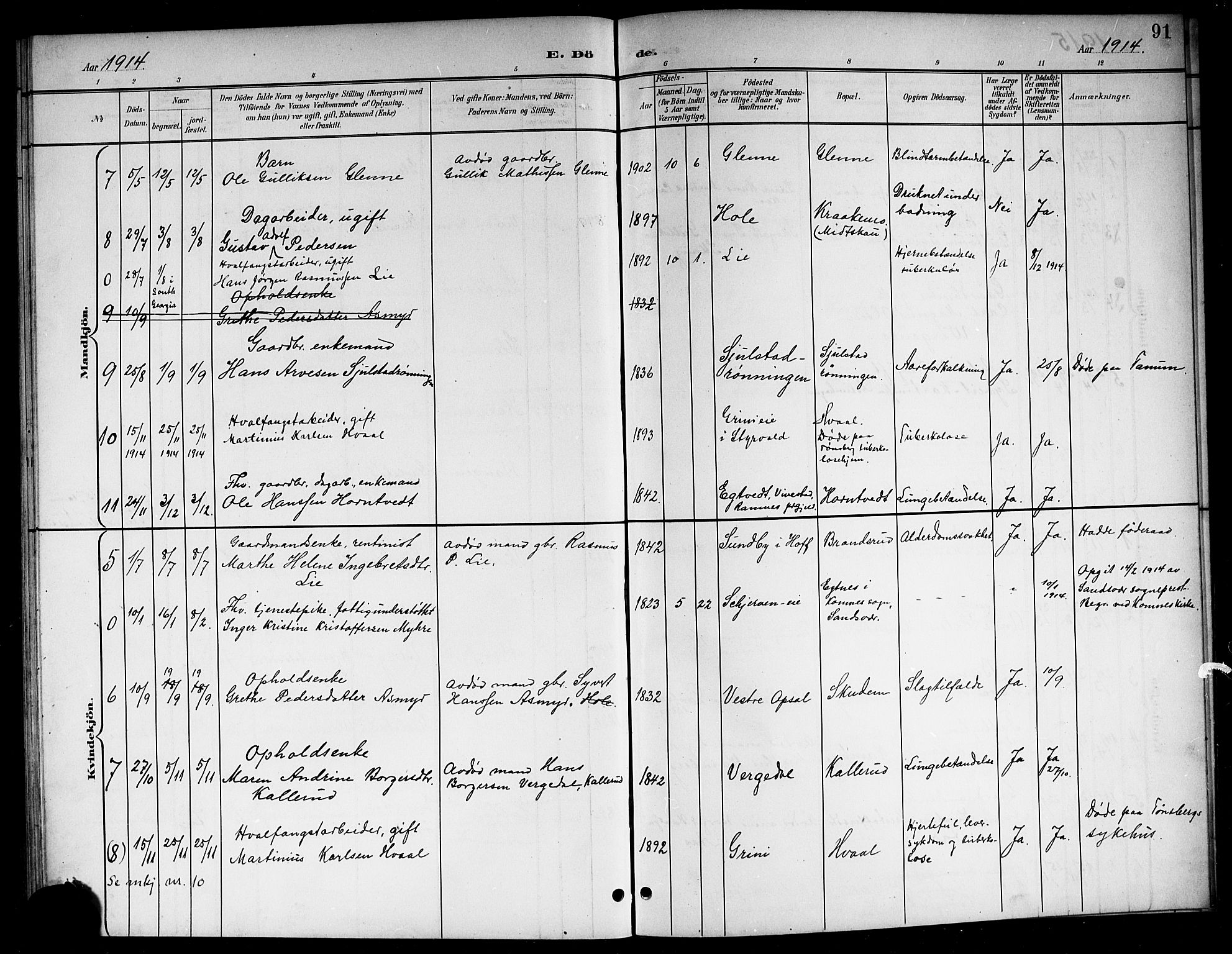 Lardal kirkebøker, AV/SAKO-A-350/G/Ga/L0002: Klokkerbok nr. I 2, 1901-1916, s. 91