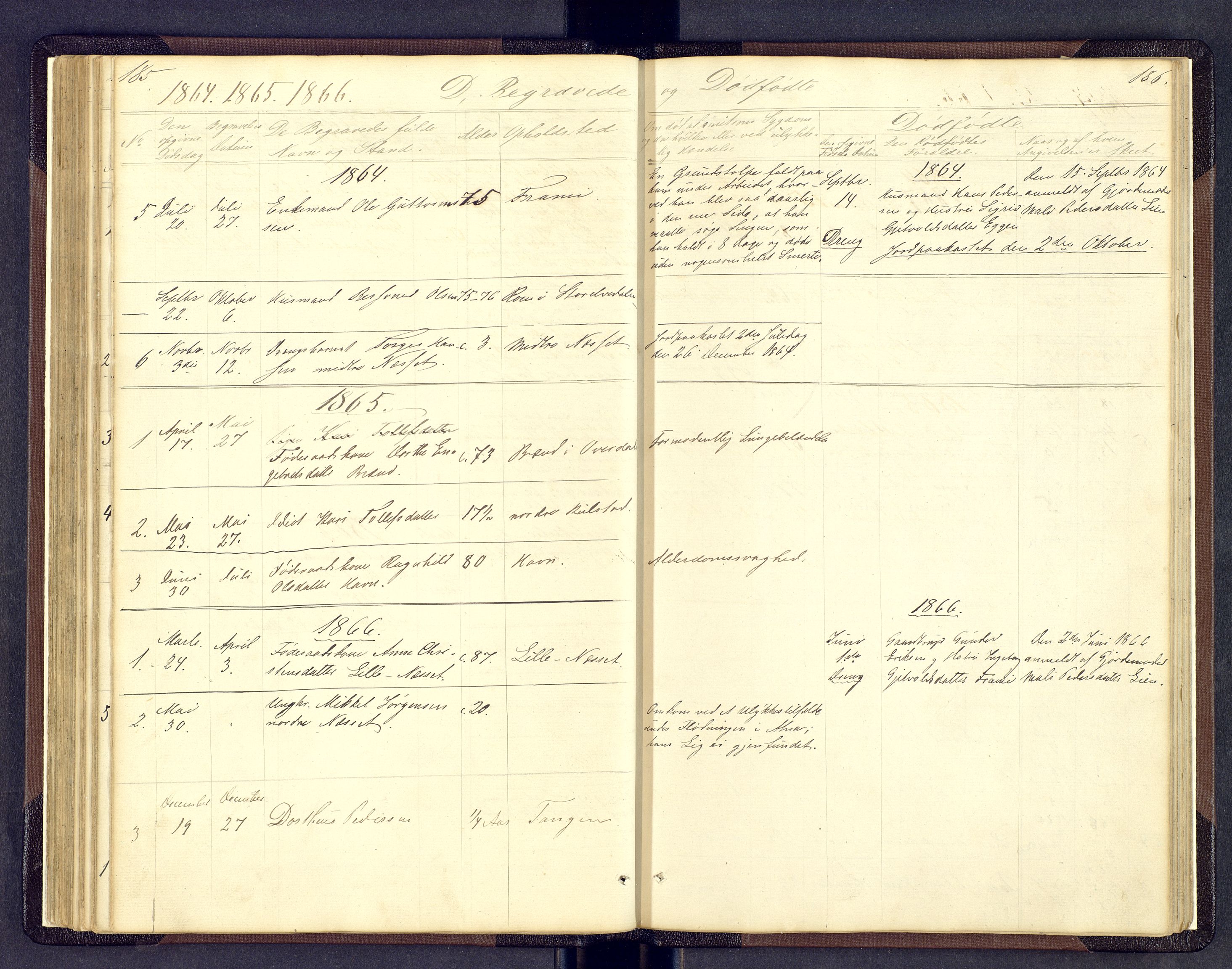 Sollia prestekontor, SAH/PREST-050/H/Ha/Hab/L0001: Klokkerbok nr. 1, 1862-1879, s. 185-186