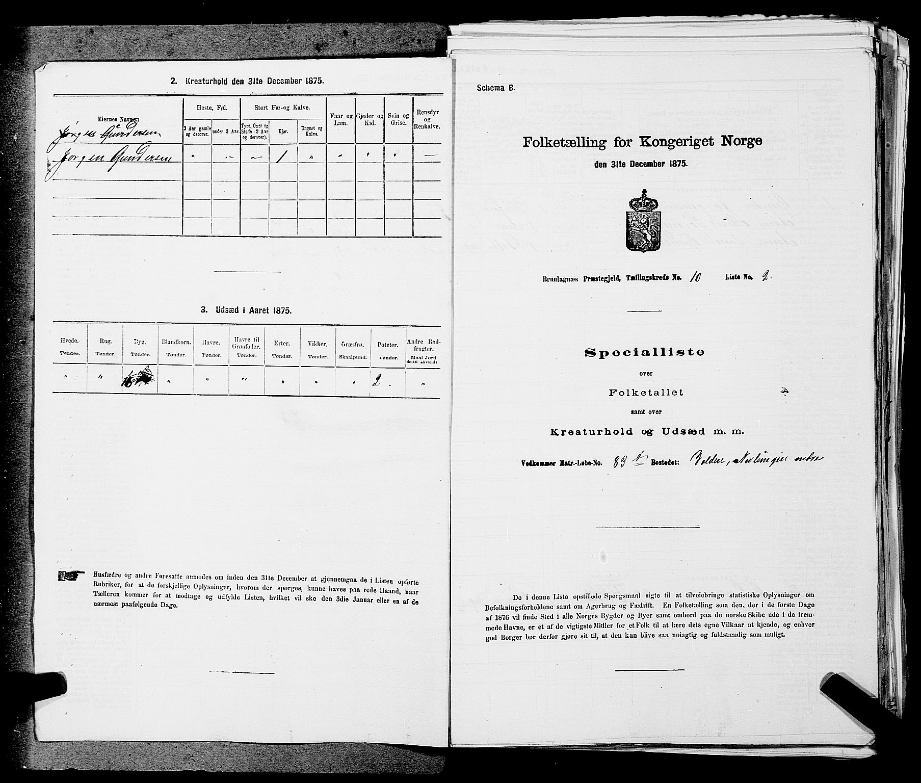 SAKO, Folketelling 1875 for 0726P Brunlanes prestegjeld, 1875, s. 1188