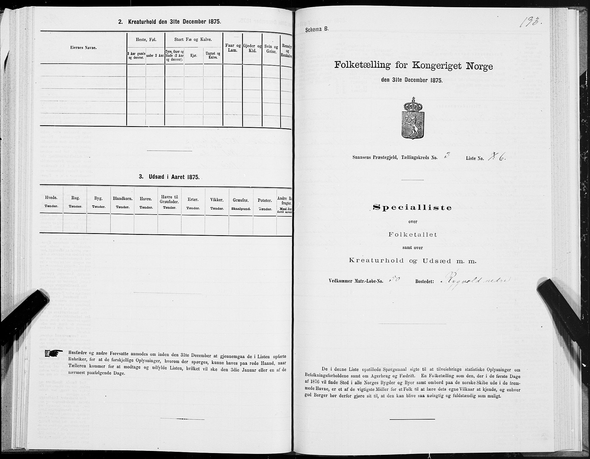 SAT, Folketelling 1875 for 1736P Snåsa prestegjeld, 1875, s. 1193