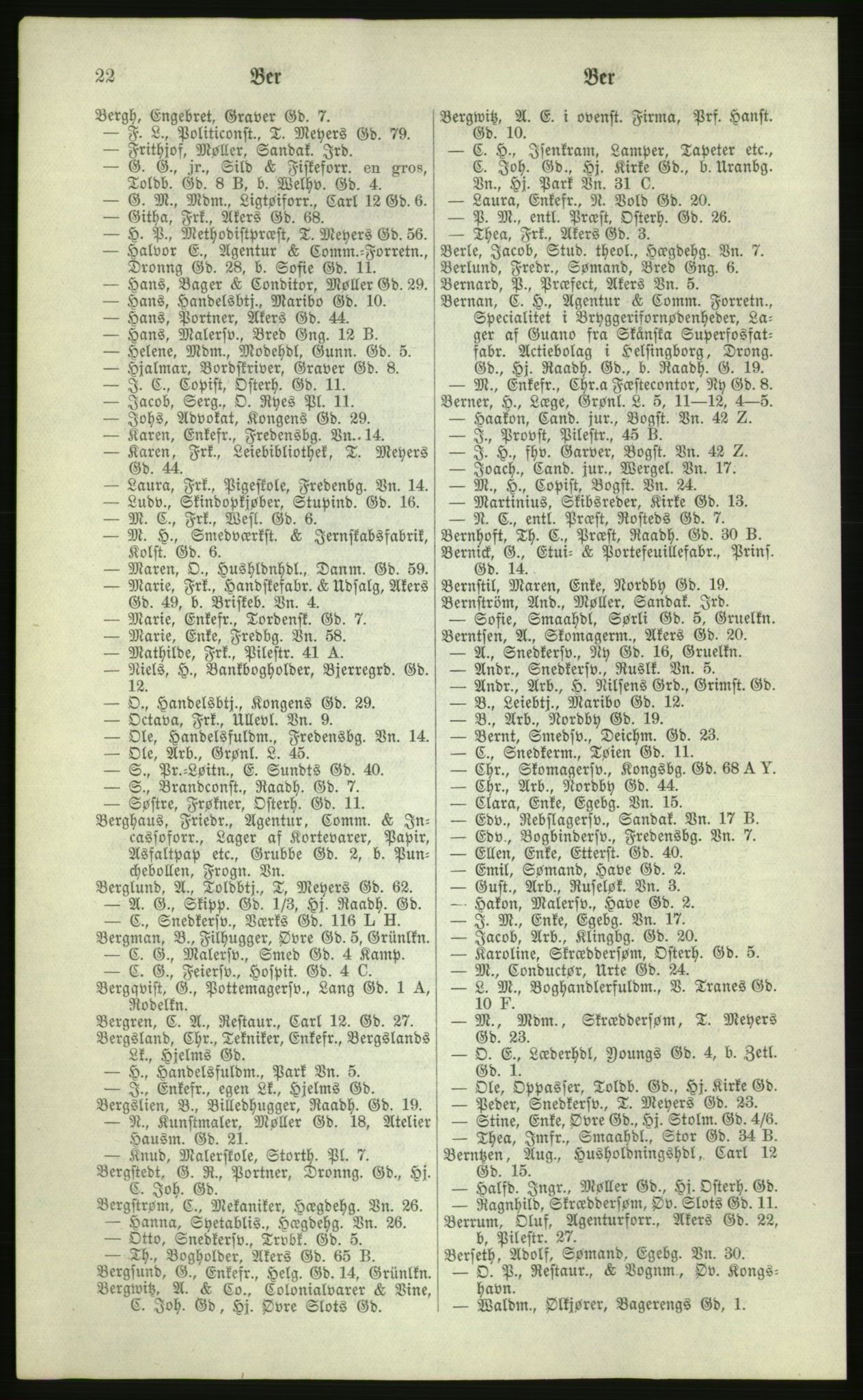 Kristiania/Oslo adressebok, PUBL/-, 1881, s. 22