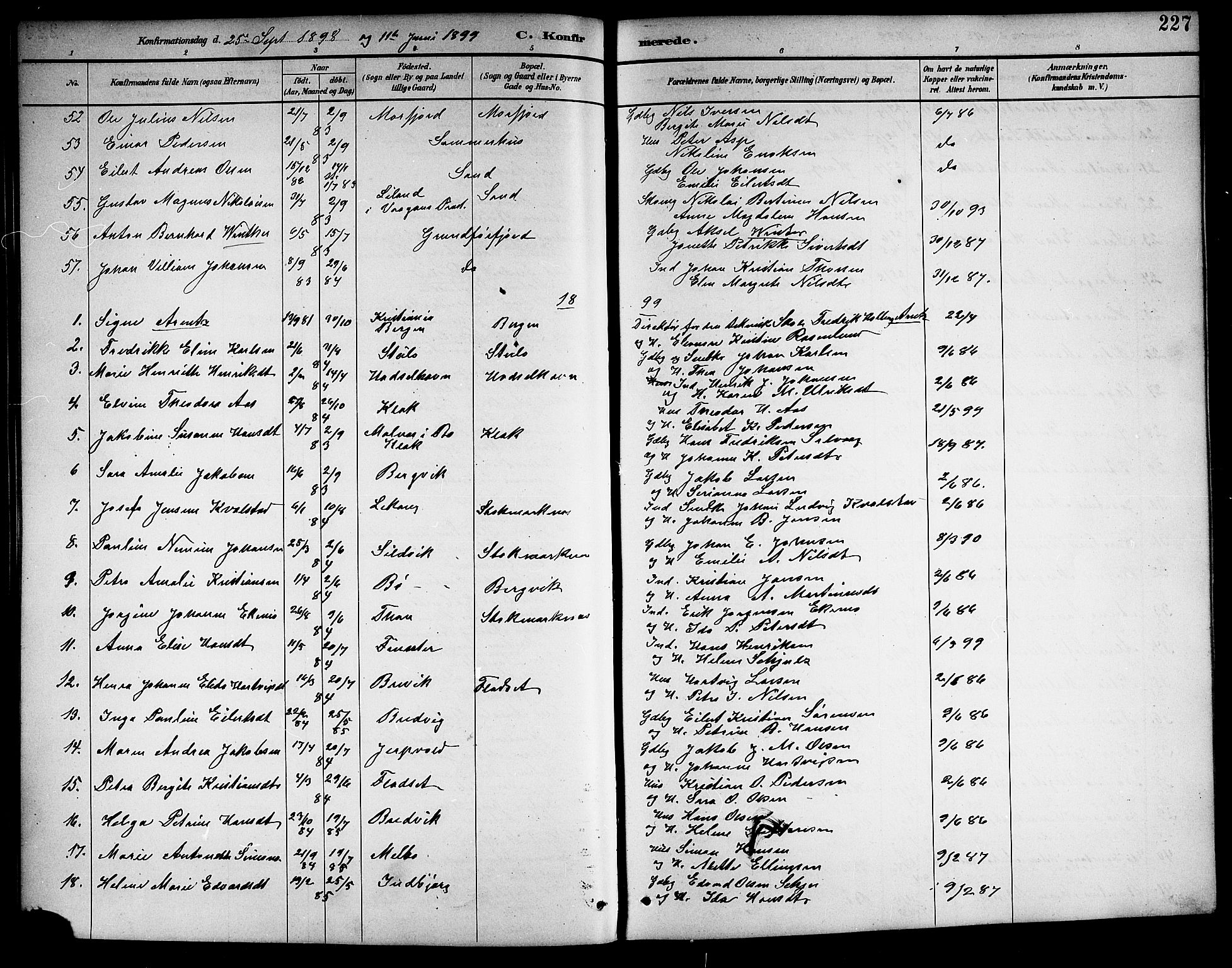 Ministerialprotokoller, klokkerbøker og fødselsregistre - Nordland, AV/SAT-A-1459/888/L1268: Klokkerbok nr. 888C06, 1891-1908, s. 227