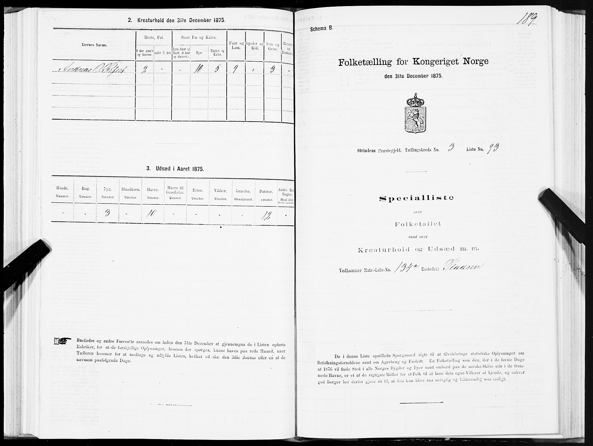 SAT, Folketelling 1875 for 1660P Strinda prestegjeld, 1875, s. 2189