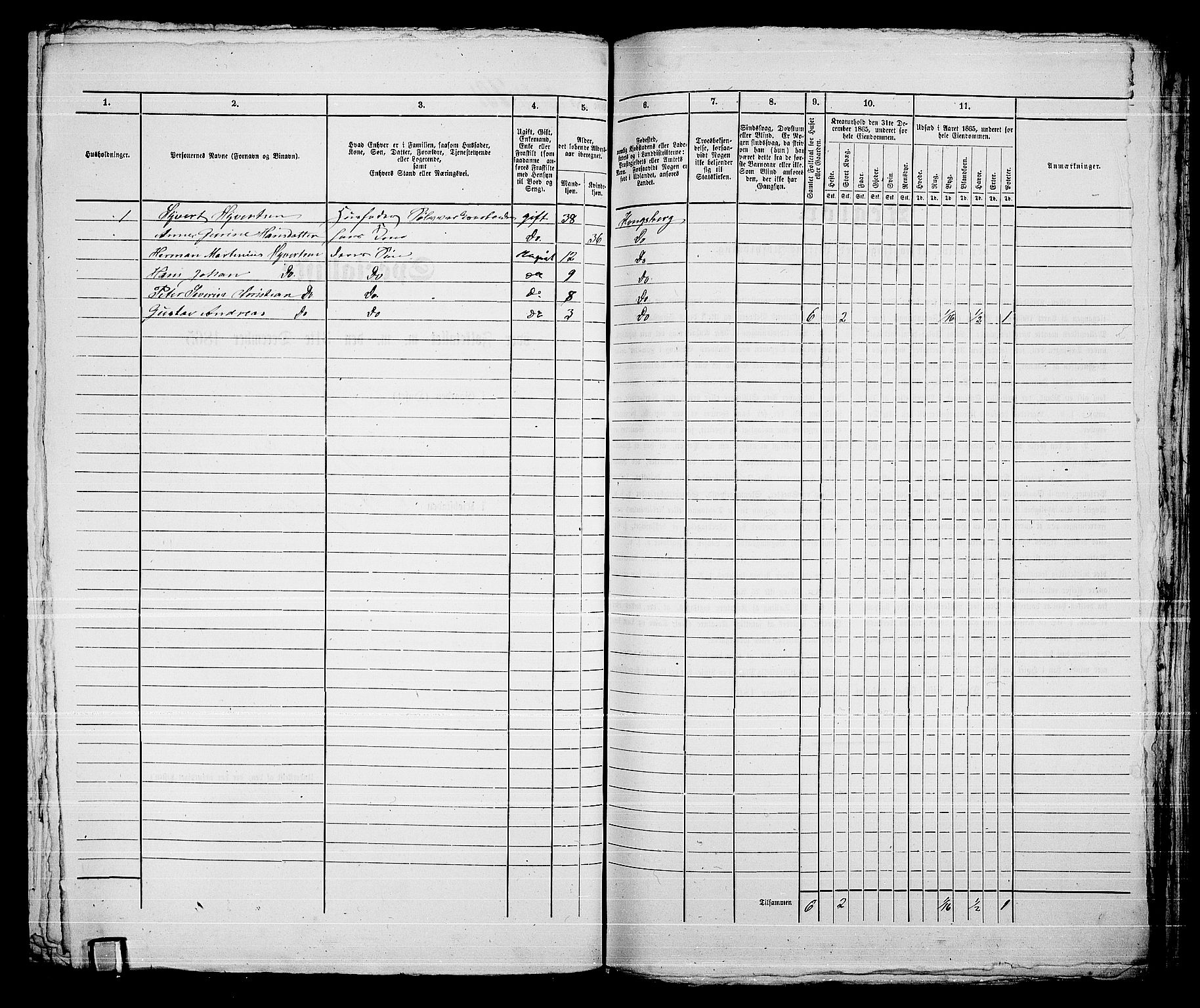 RA, Folketelling 1865 for 0604B Kongsberg prestegjeld, Kongsberg kjøpstad, 1865, s. 1432