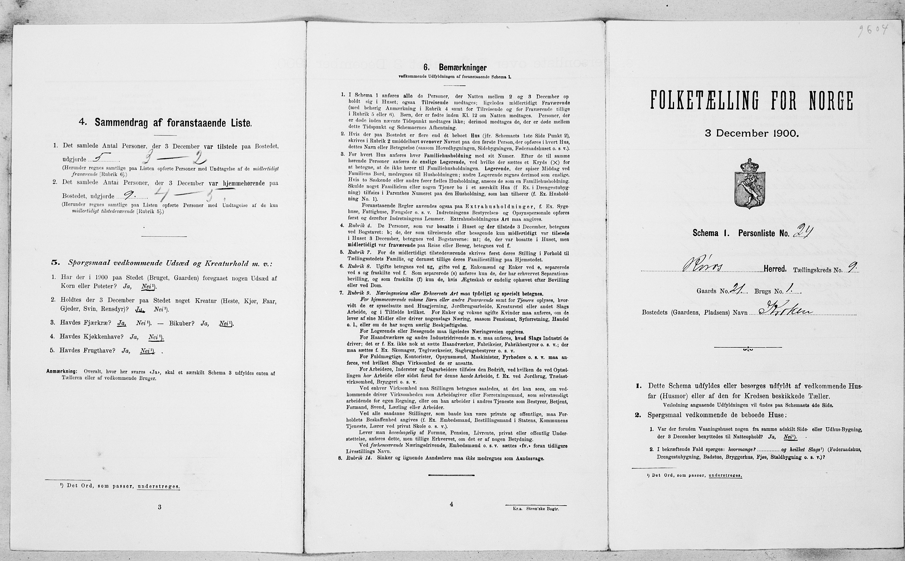 SAT, Folketelling 1900 for 1640 Røros herred, 1900, s. 1060