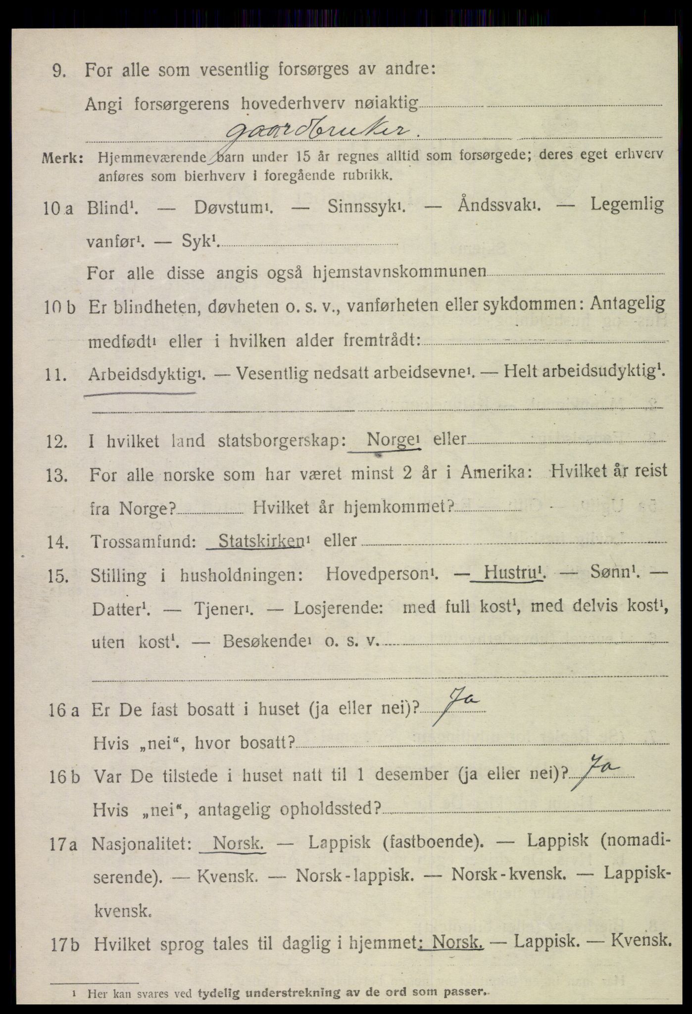 SAT, Folketelling 1920 for 1736 Snåsa herred, 1920, s. 4951