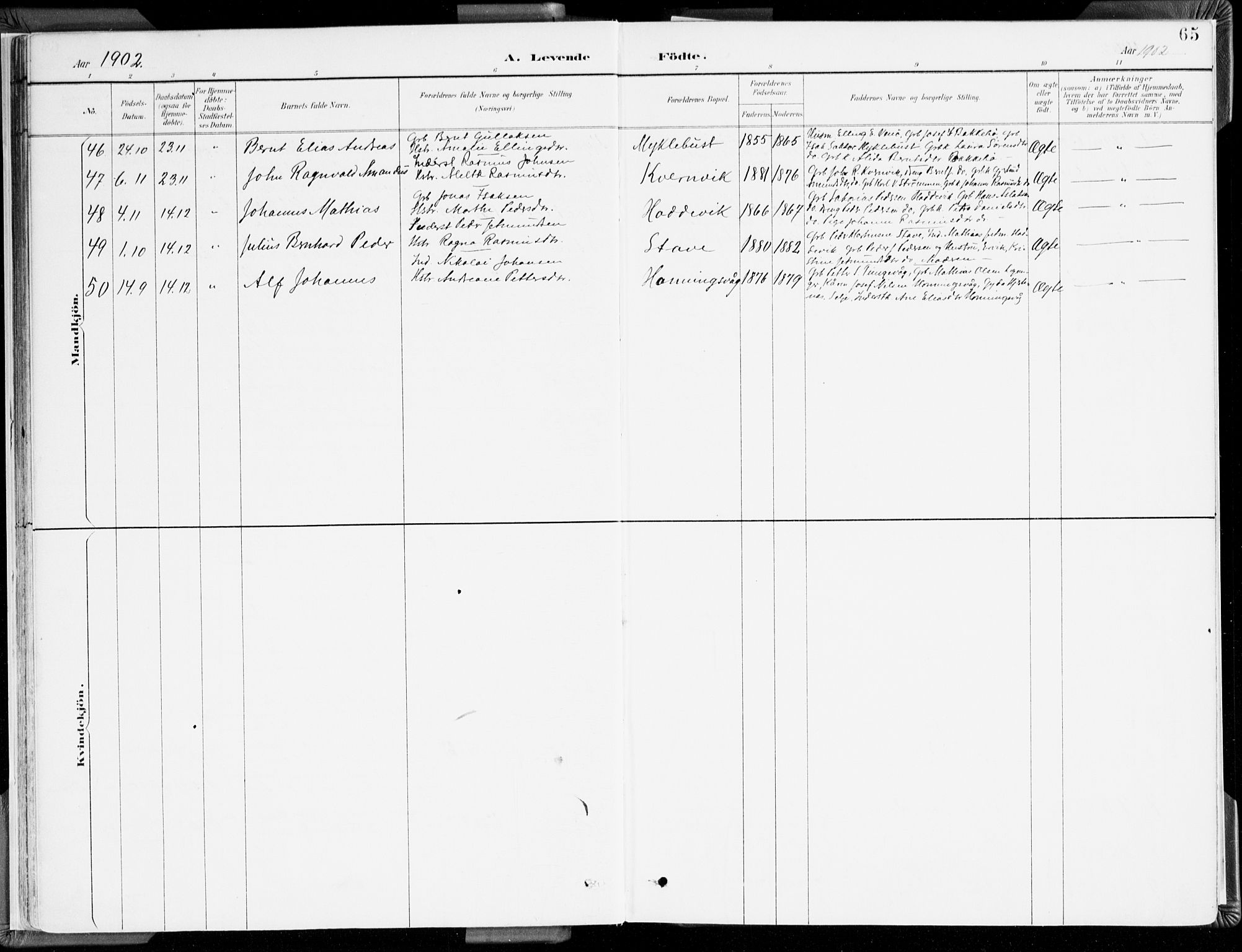 Selje sokneprestembete, AV/SAB-A-99938/H/Ha/Haa/Haab: Ministerialbok nr. B 2, 1891-1907, s. 65