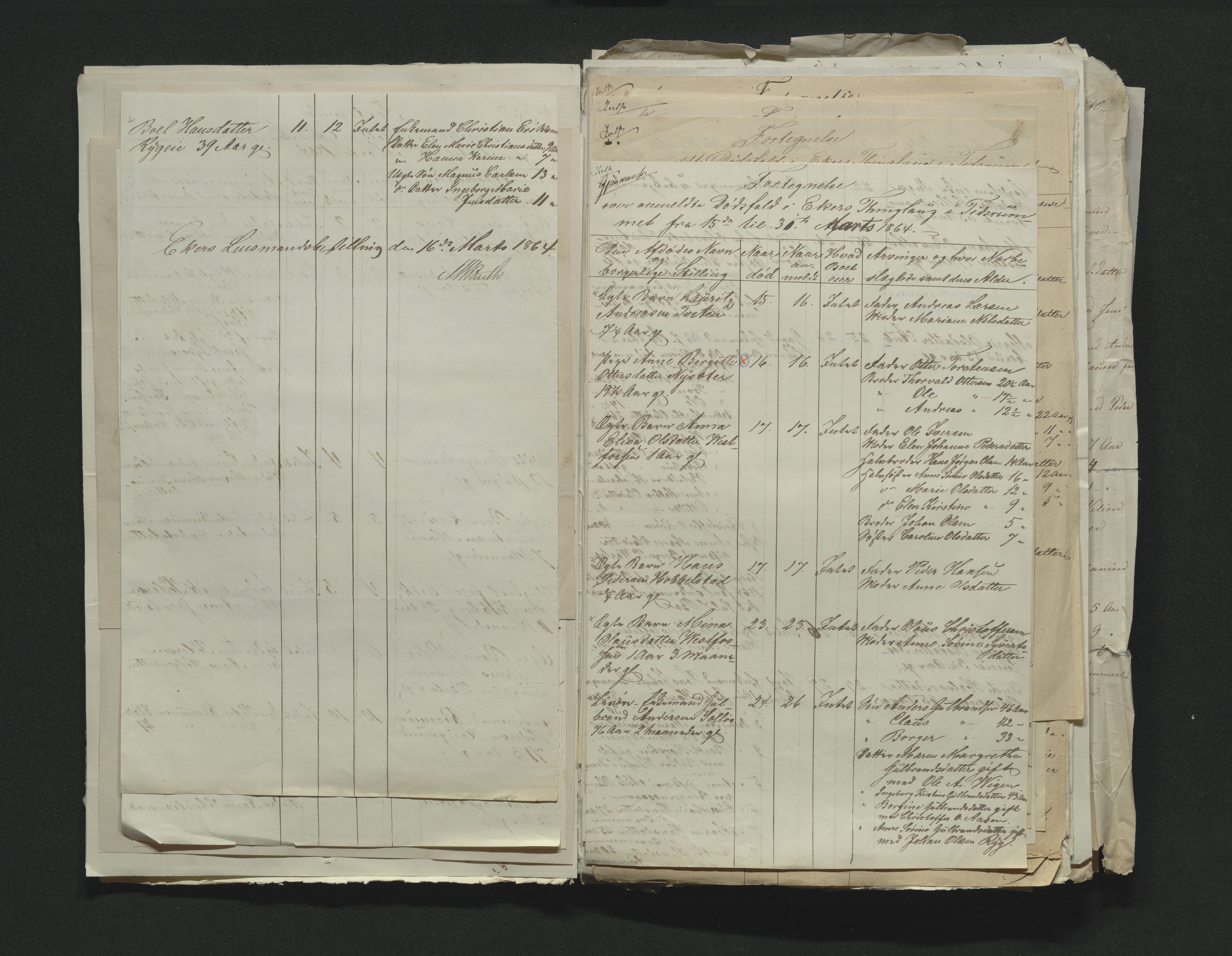 Eiker, Modum og Sigdal sorenskriveri, AV/SAKO-A-123/H/Ha/Hab/L0011: Dødsfallsmeldinger, 1862-1865, s. 362