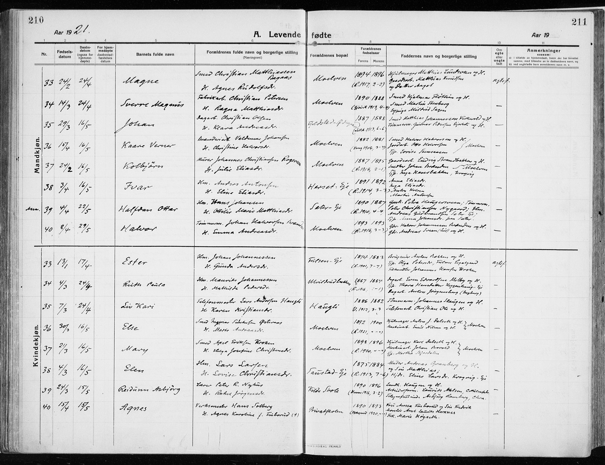 Ringsaker prestekontor, AV/SAH-PREST-014/K/Ka/L0020: Ministerialbok nr. 20, 1913-1922, s. 210-211