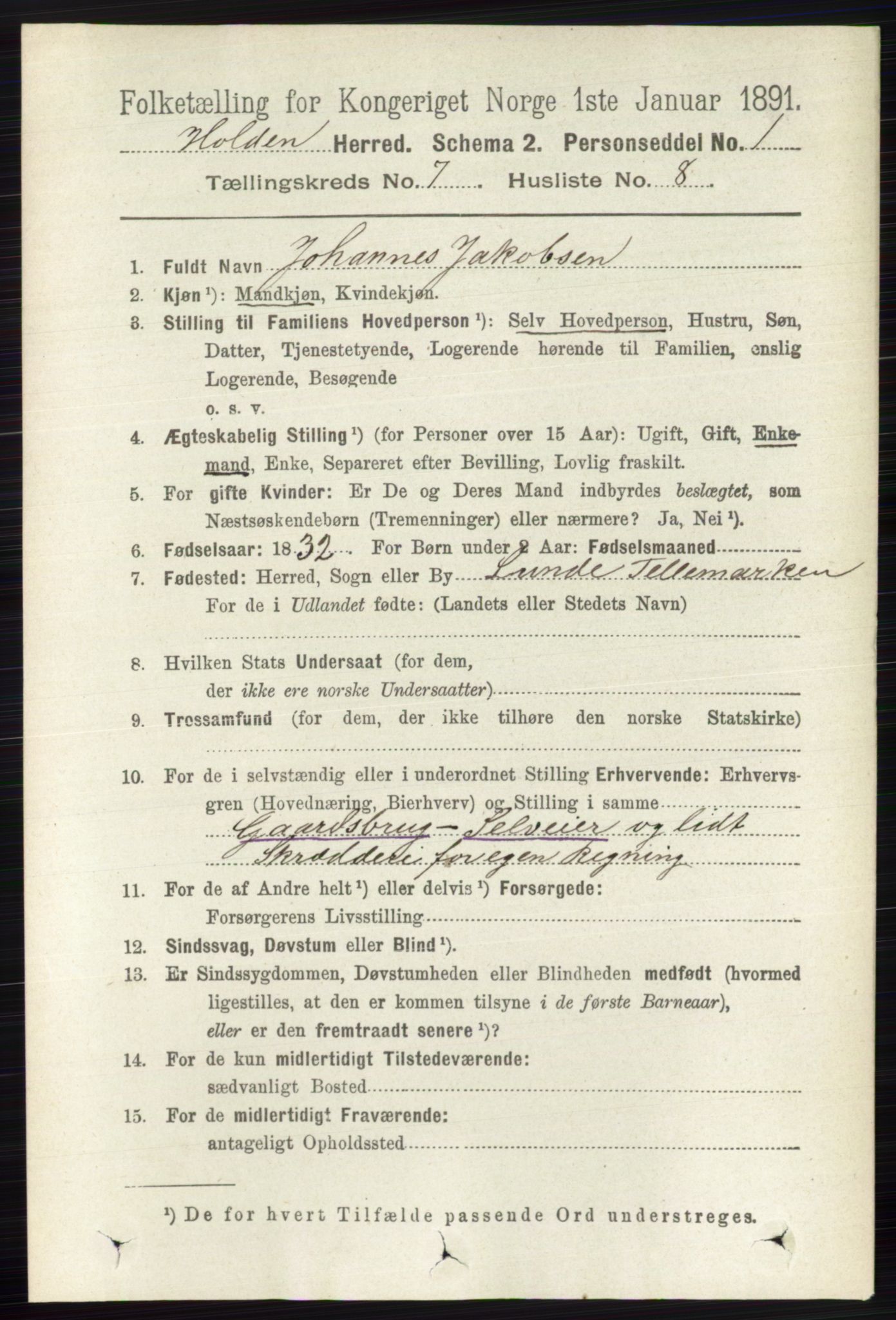 RA, Folketelling 1891 for 0819 Holla herred, 1891, s. 3317