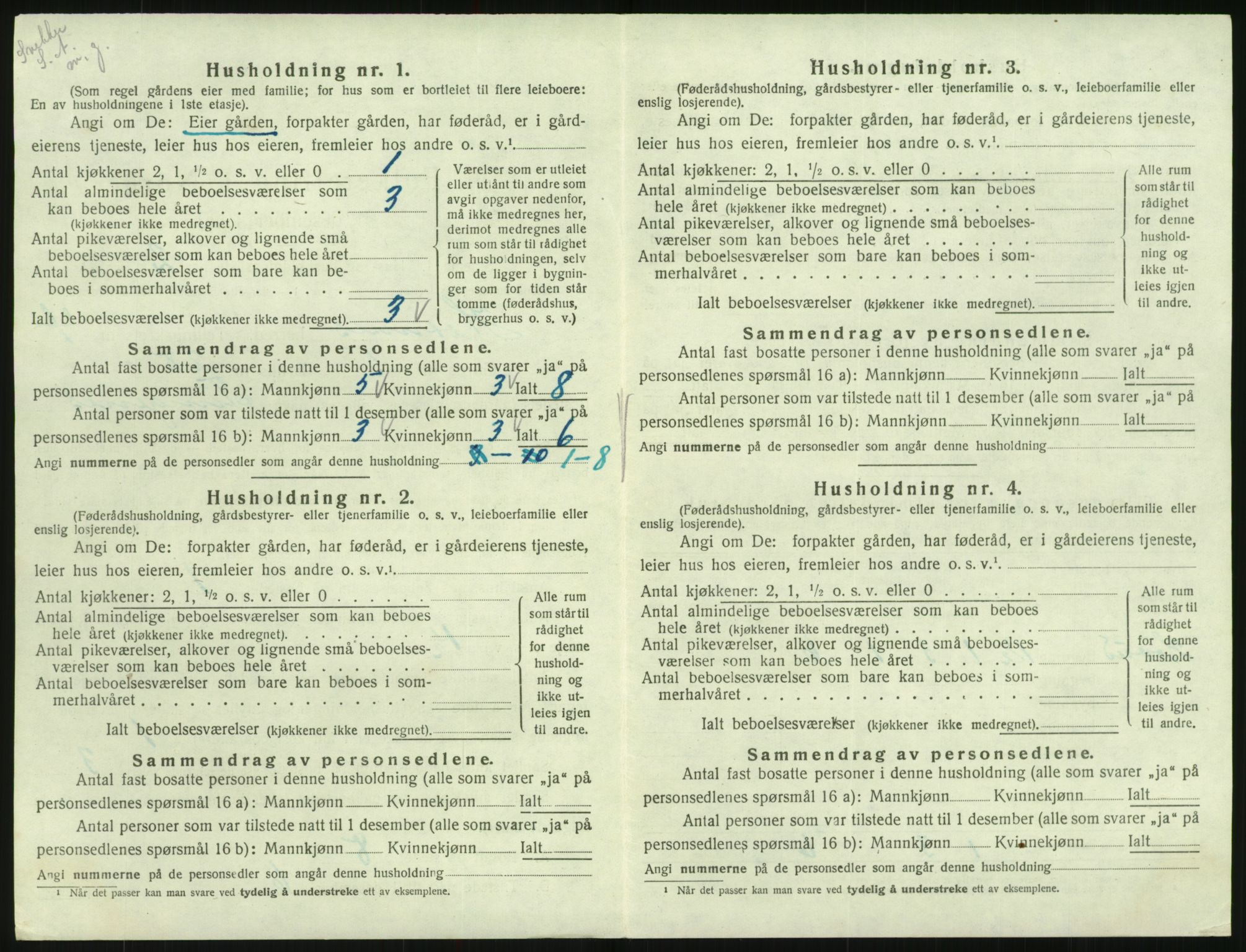 SAK, Folketelling 1920 for 0936 Hornnes herred, 1920, s. 176