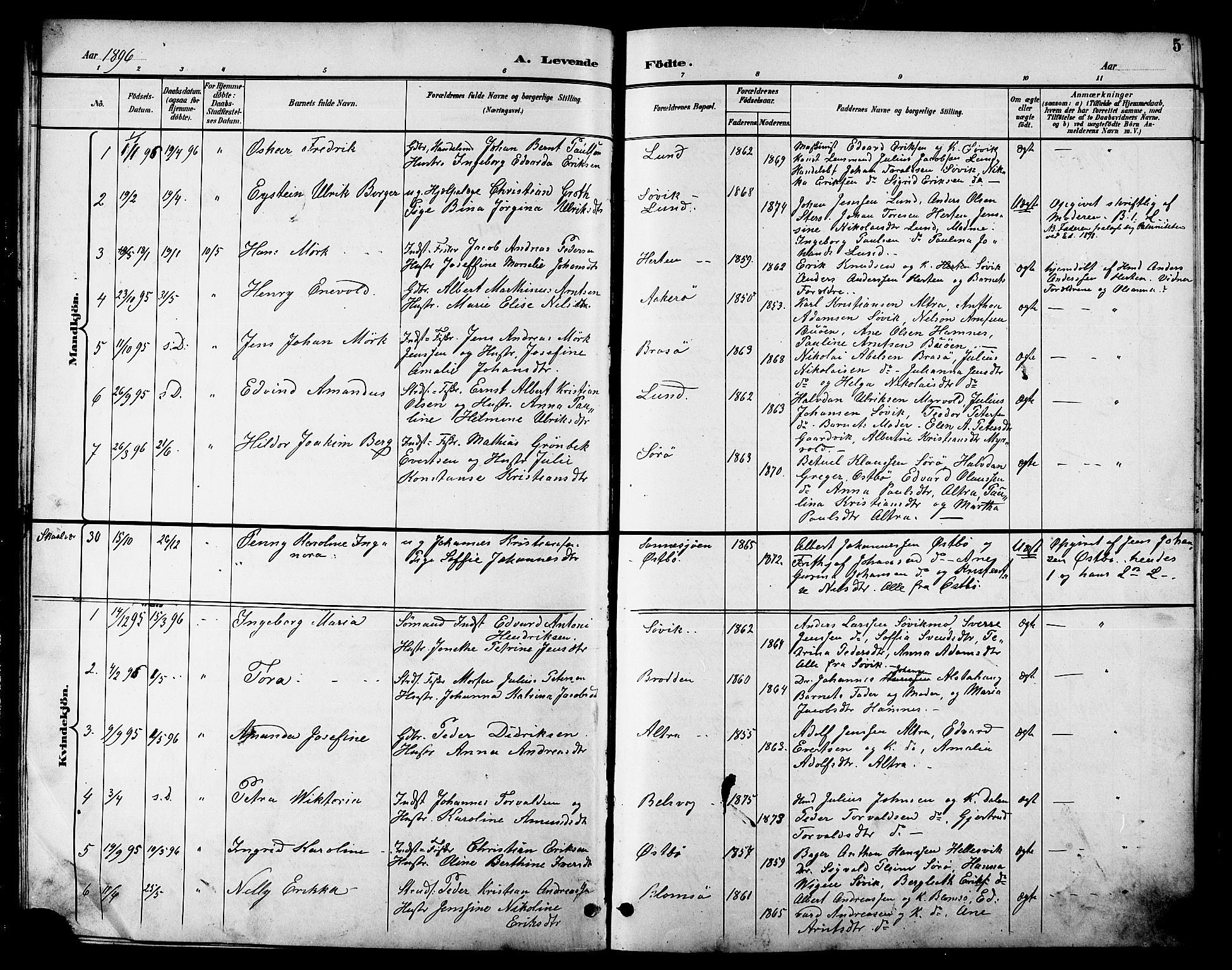 Ministerialprotokoller, klokkerbøker og fødselsregistre - Nordland, AV/SAT-A-1459/830/L0463: Klokkerbok nr. 830C05, 1895-1906, s. 5