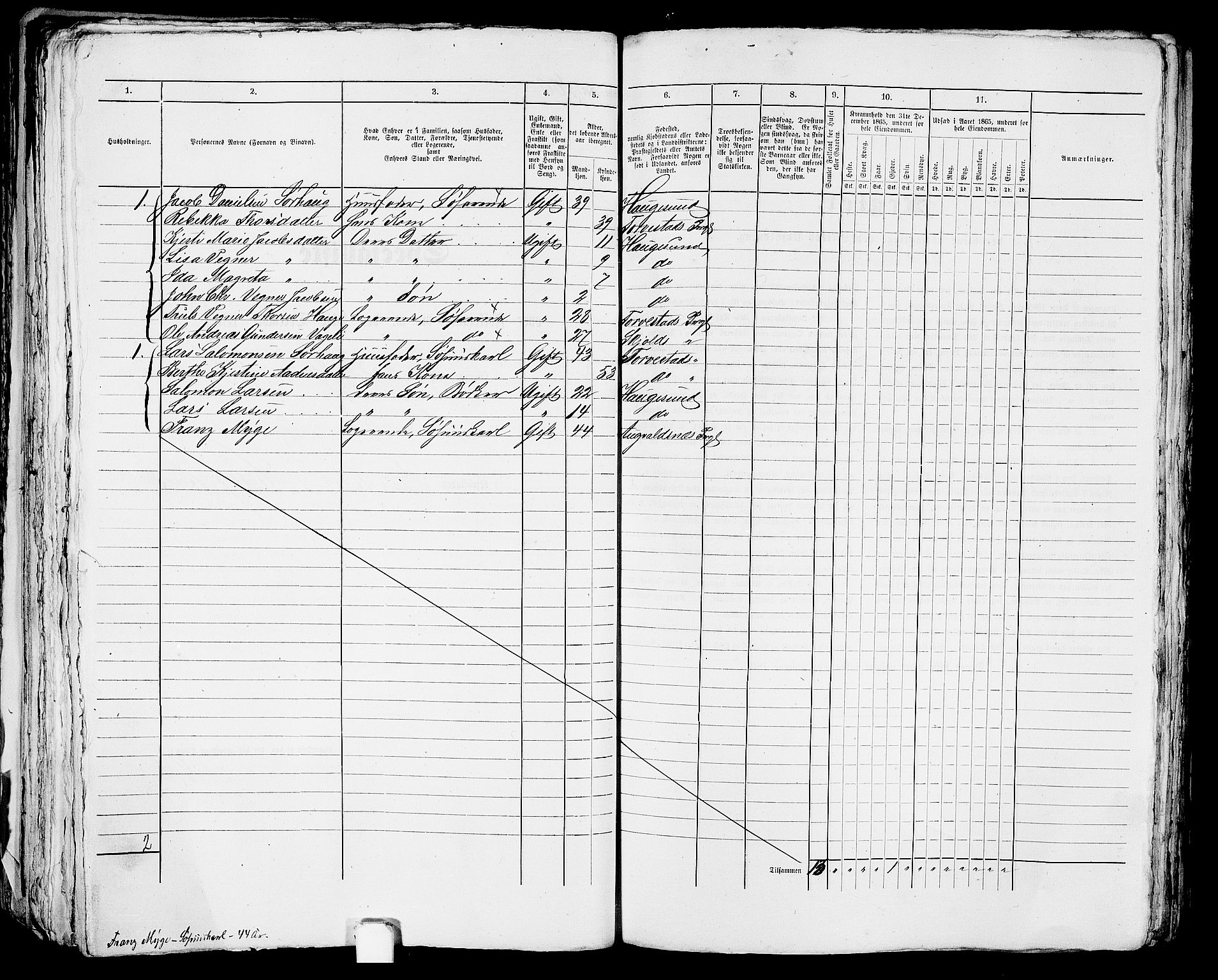 RA, Folketelling 1865 for 1106B Torvastad prestegjeld, Haugesund ladested, 1865, s. 211