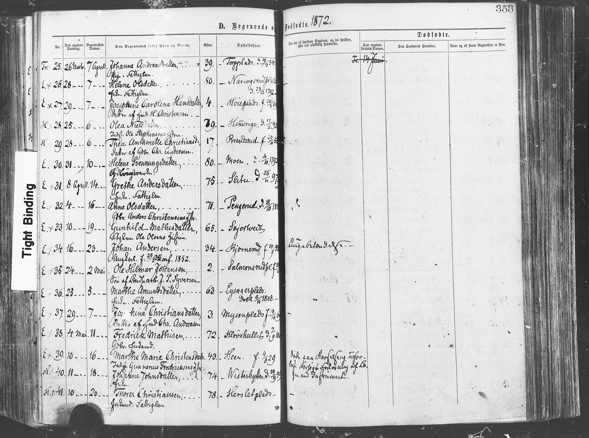 Eidsberg prestekontor Kirkebøker, AV/SAO-A-10905/F/Fa/L0011: Ministerialbok nr. I 11, 1867-1878, s. 353