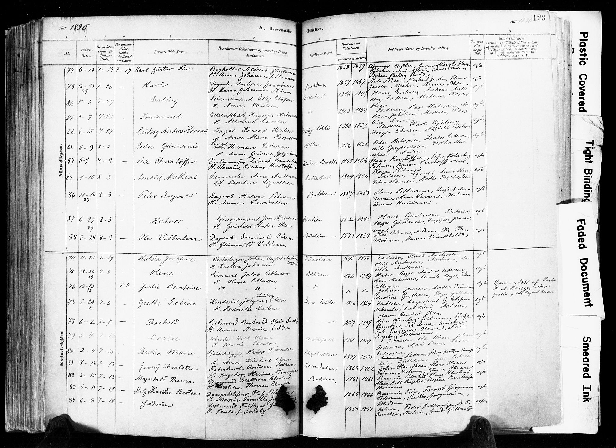 Skien kirkebøker, SAKO/A-302/F/Fa/L0009: Ministerialbok nr. 9, 1878-1890, s. 123