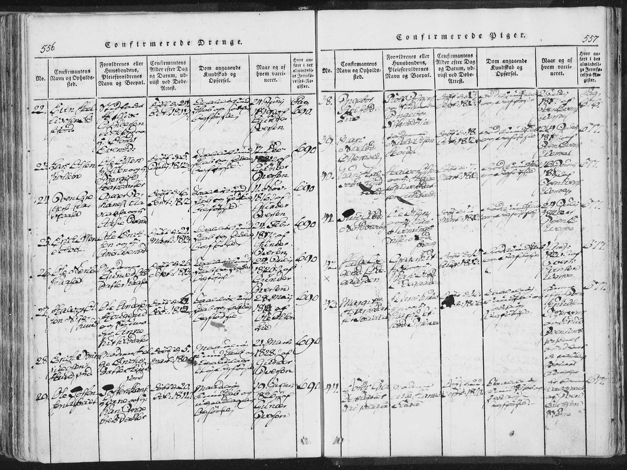 Bø kirkebøker, AV/SAKO-A-257/F/Fa/L0006: Ministerialbok nr. 6, 1815-1831, s. 556-557