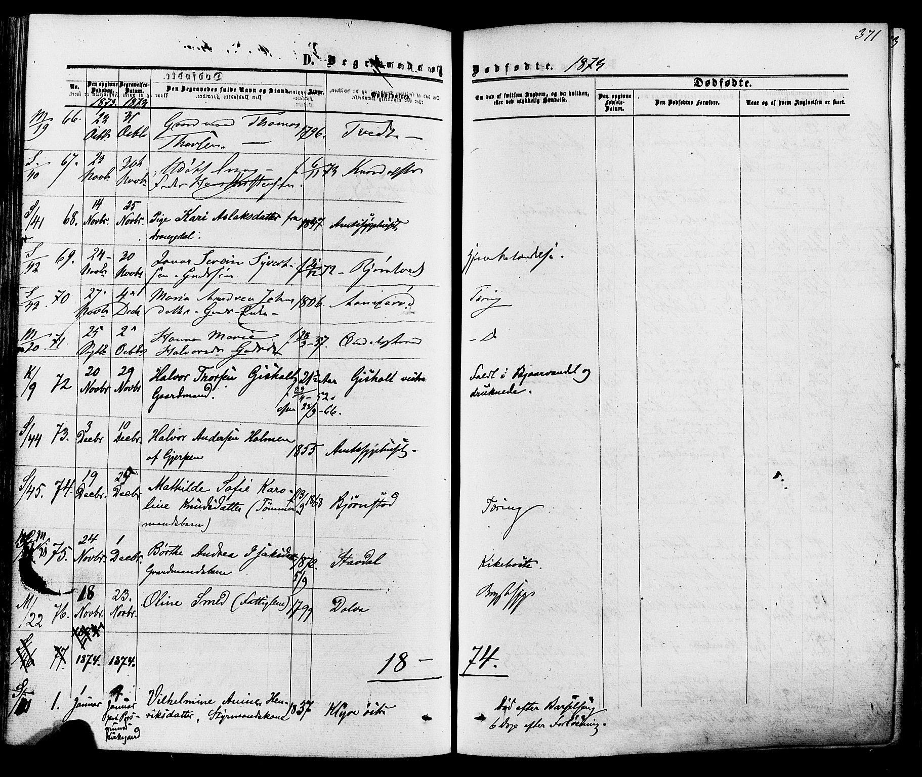 Solum kirkebøker, AV/SAKO-A-306/F/Fa/L0008: Ministerialbok nr. I 8, 1865-1876, s. 371
