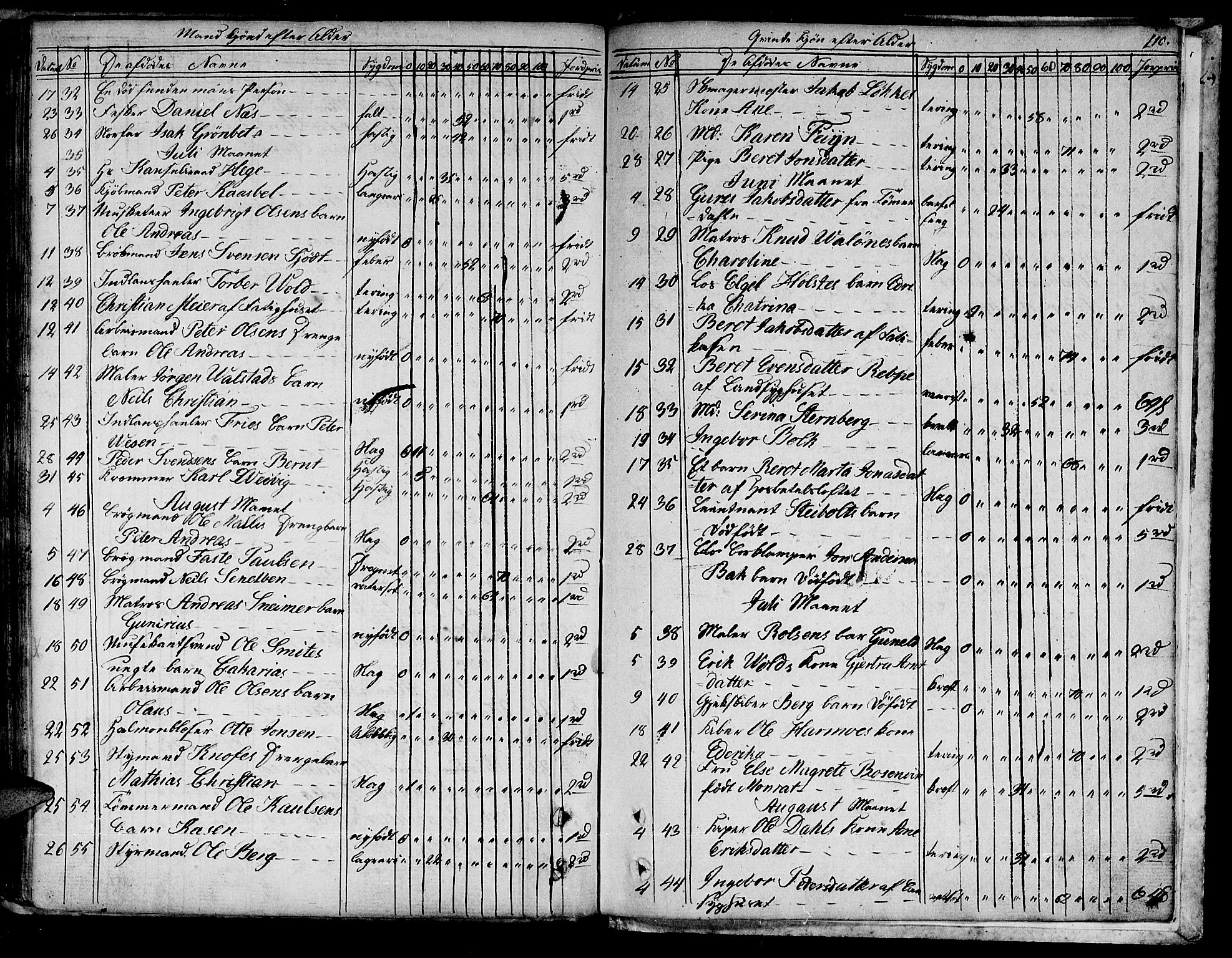 Ministerialprotokoller, klokkerbøker og fødselsregistre - Sør-Trøndelag, AV/SAT-A-1456/601/L0040: Ministerialbok nr. 601A08, 1783-1818, s. 110