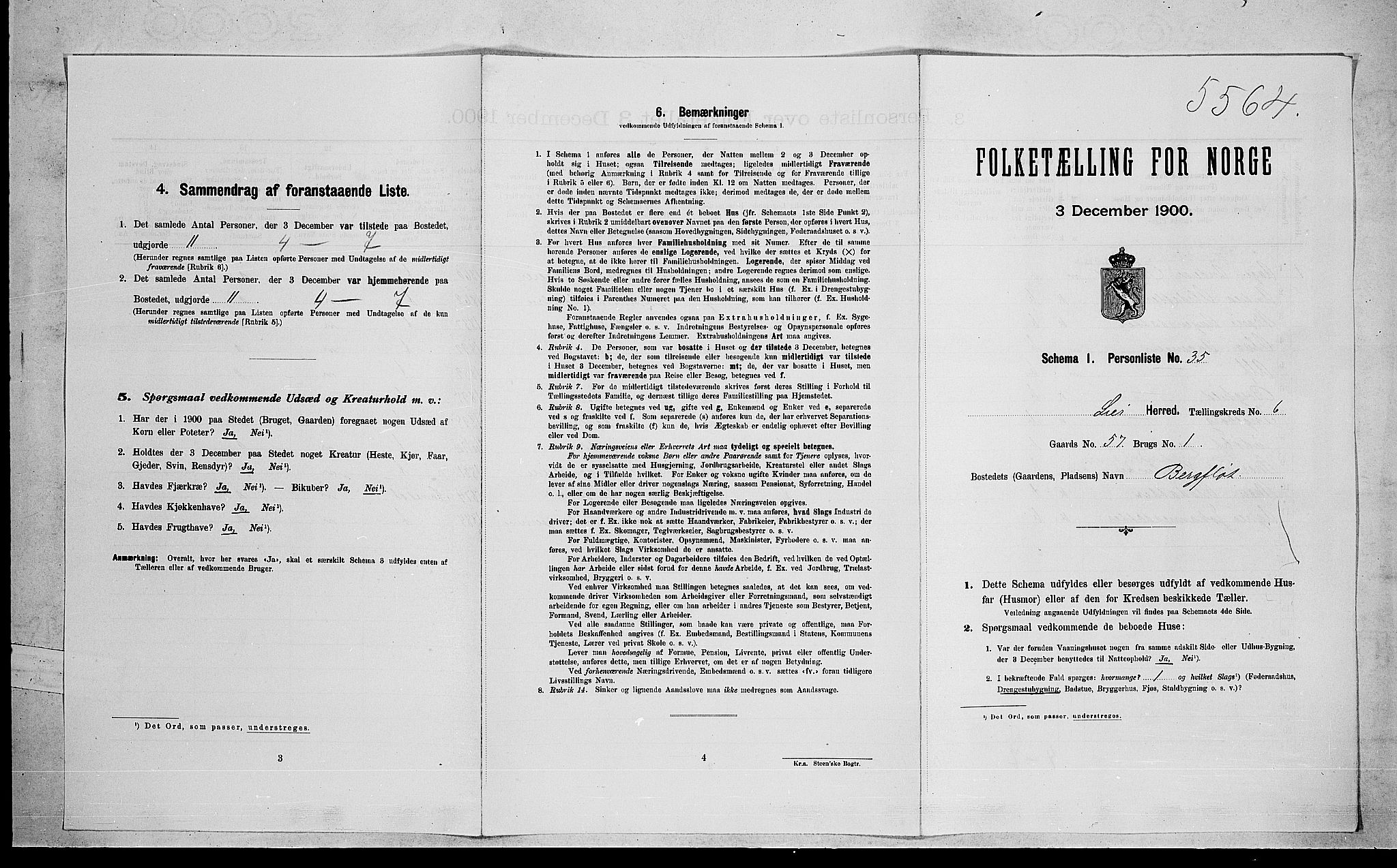 RA, Folketelling 1900 for 0626 Lier herred, 1900, s. 1124