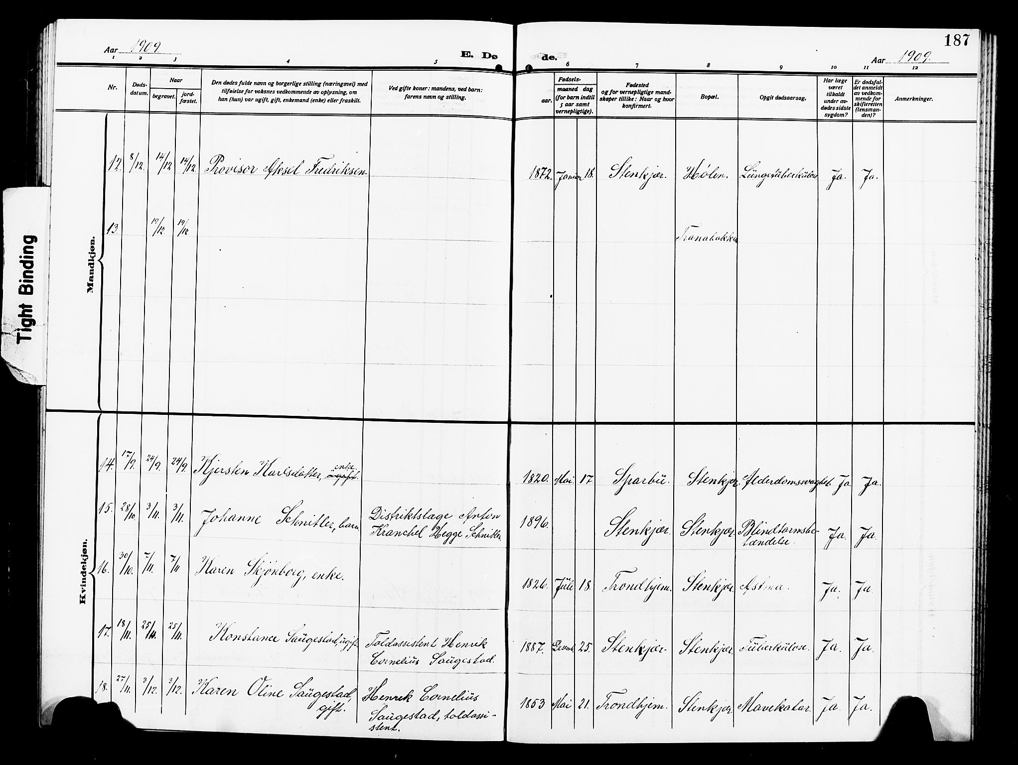 Ministerialprotokoller, klokkerbøker og fødselsregistre - Nord-Trøndelag, SAT/A-1458/739/L0376: Klokkerbok nr. 739C04, 1908-1917, s. 187