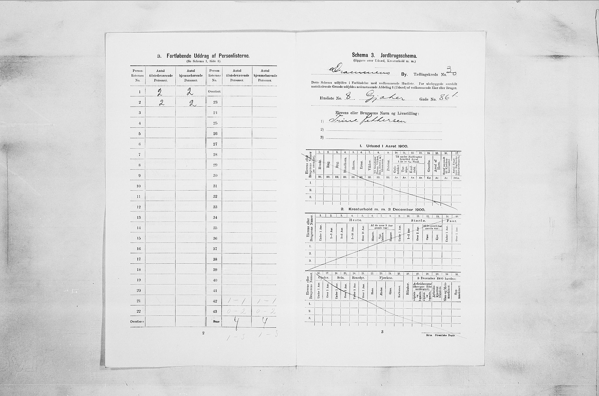 RA, Folketelling 1900 for 0602 Drammen kjøpstad, 1900, s. 5329