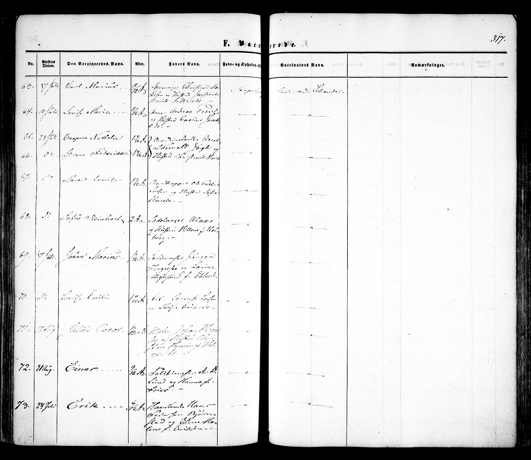 Sarpsborg prestekontor Kirkebøker, AV/SAO-A-2006/F/Fa/L0001: Ministerialbok nr. 1, 1859-1868, s. 317