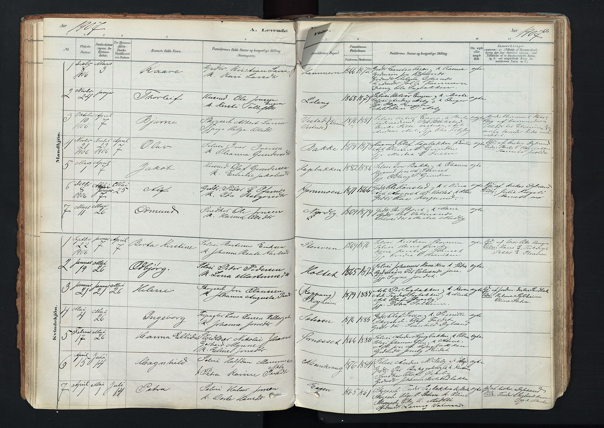 Trysil prestekontor, AV/SAH-PREST-046/H/Ha/Haa/L0011: Ministerialbok nr. 11, 1878-1912, s. 66
