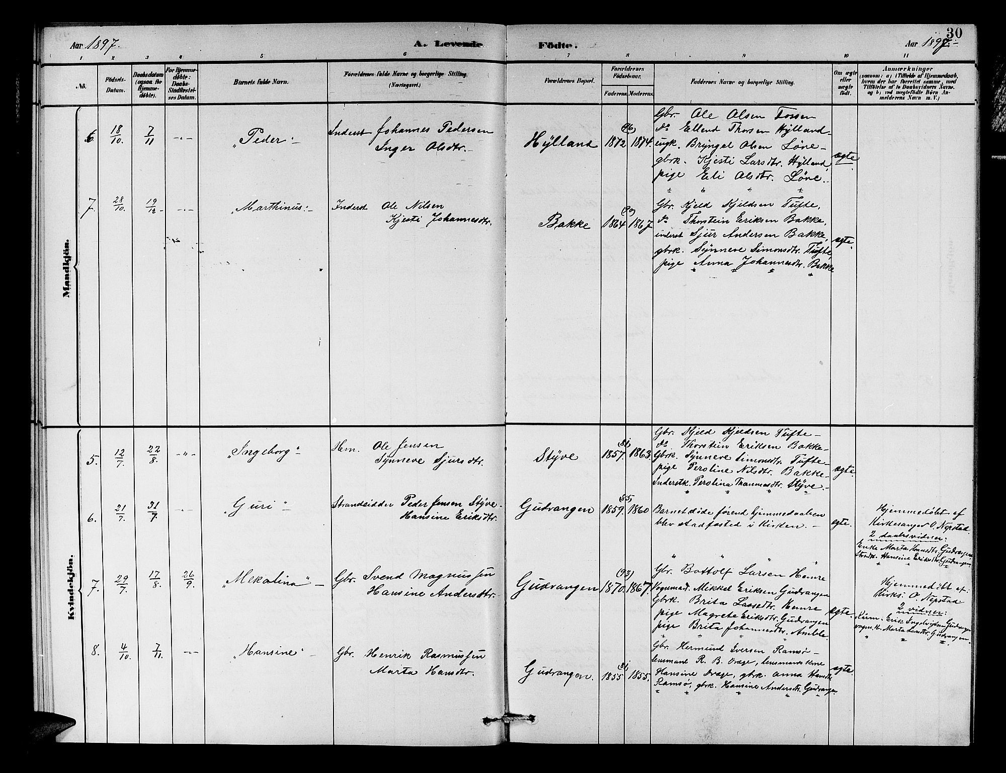 Aurland sokneprestembete, AV/SAB-A-99937/H/Hb/Hbc/L0002: Klokkerbok nr. C 2, 1883-1900, s. 30