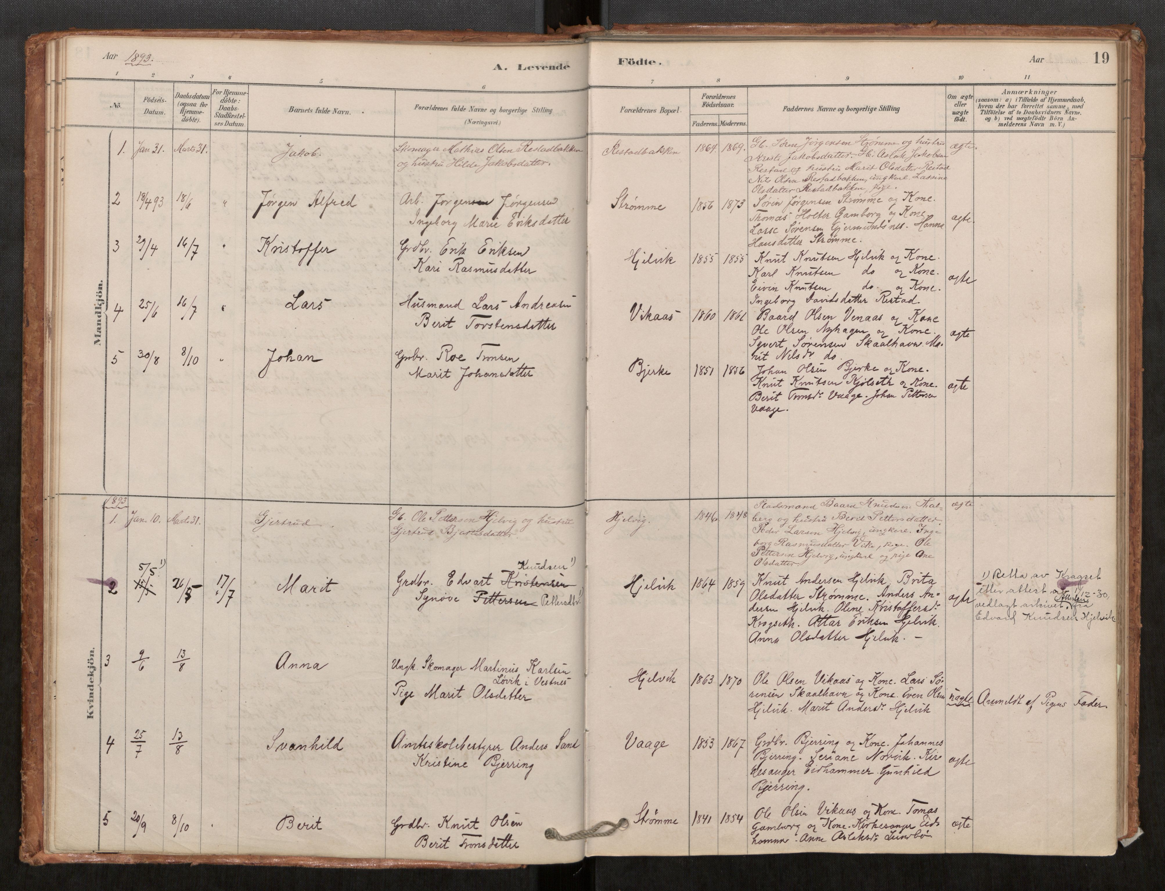 Ministerialprotokoller, klokkerbøker og fødselsregistre - Møre og Romsdal, SAT/A-1454/550/L0621: Ministerialbok nr. 550A01, 1878-1915, s. 19