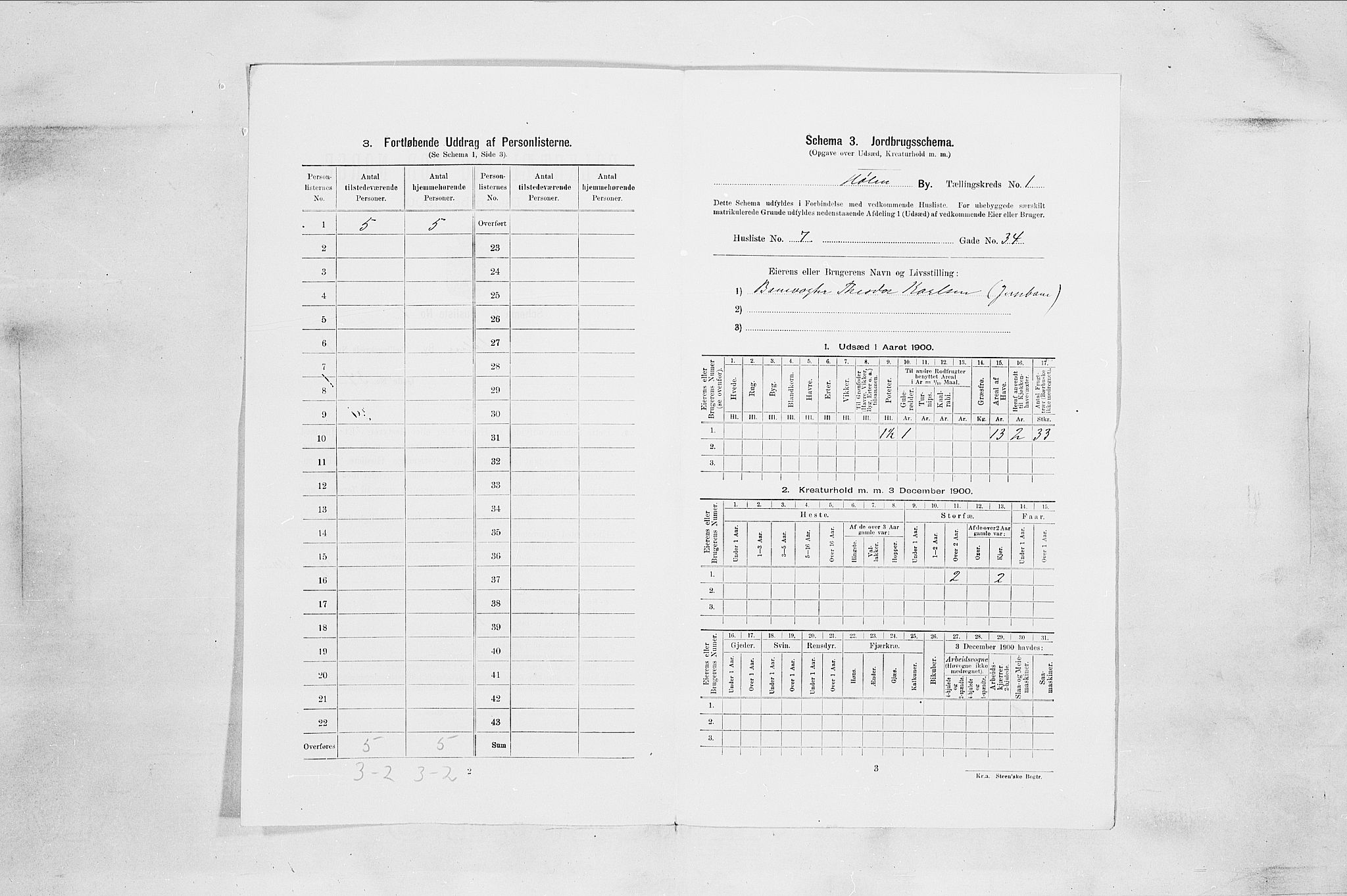 SAO, Folketelling 1900 for 0204 Hølen ladested, 1900