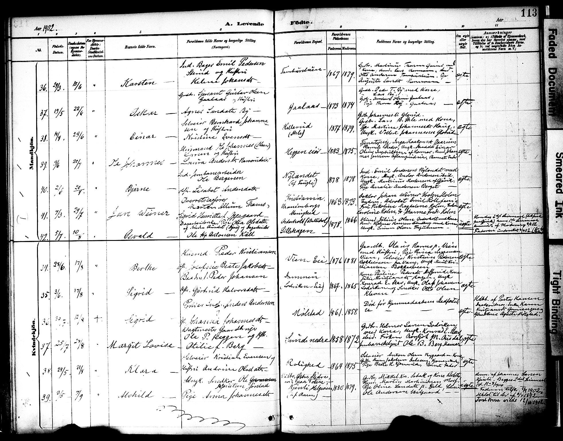 Nes prestekontor, Hedmark, AV/SAH-PREST-020/K/Ka/L0009: Ministerialbok nr. 9, 1887-1905, s. 113