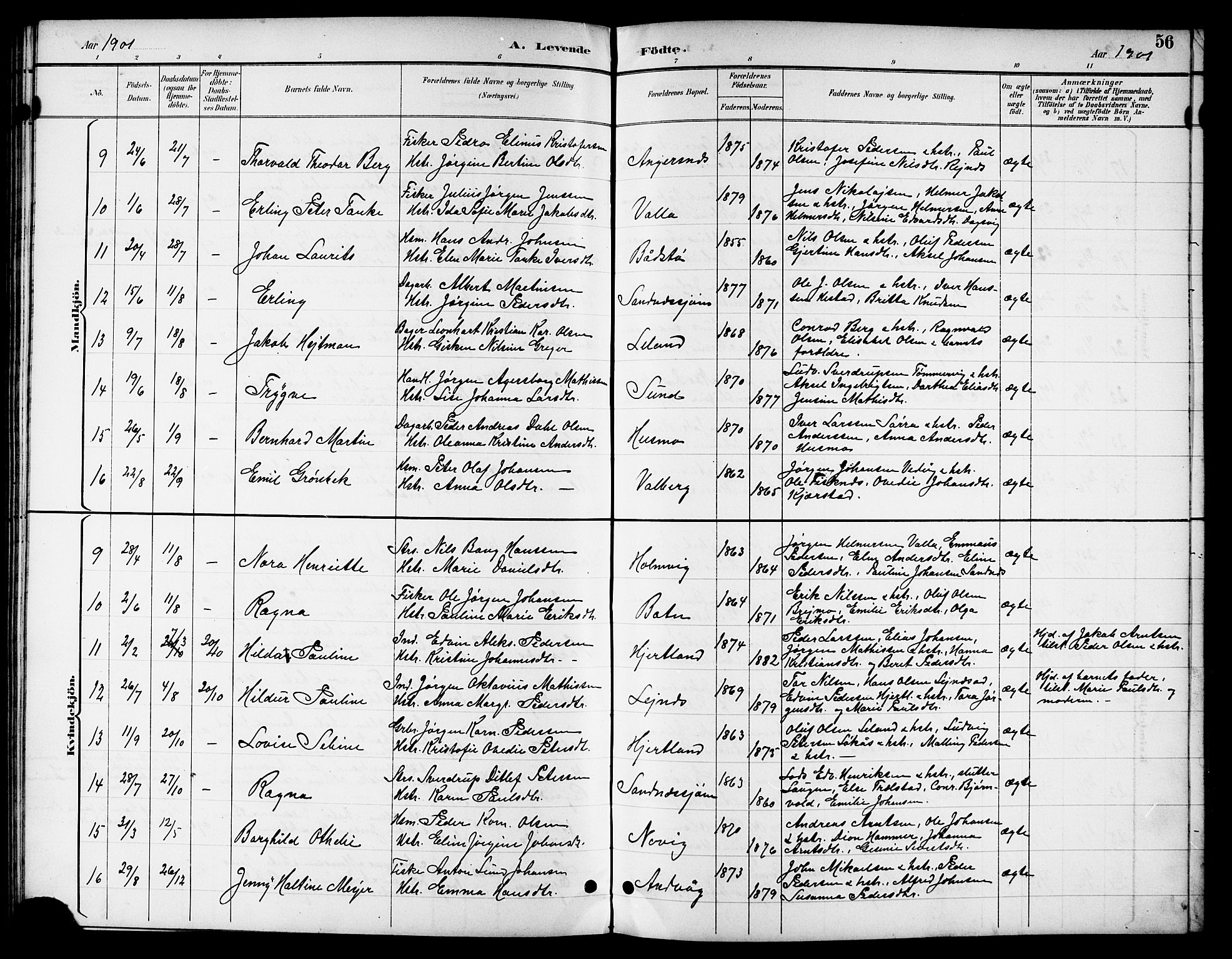 Ministerialprotokoller, klokkerbøker og fødselsregistre - Nordland, AV/SAT-A-1459/831/L0478: Klokkerbok nr. 831C05, 1892-1909, s. 56