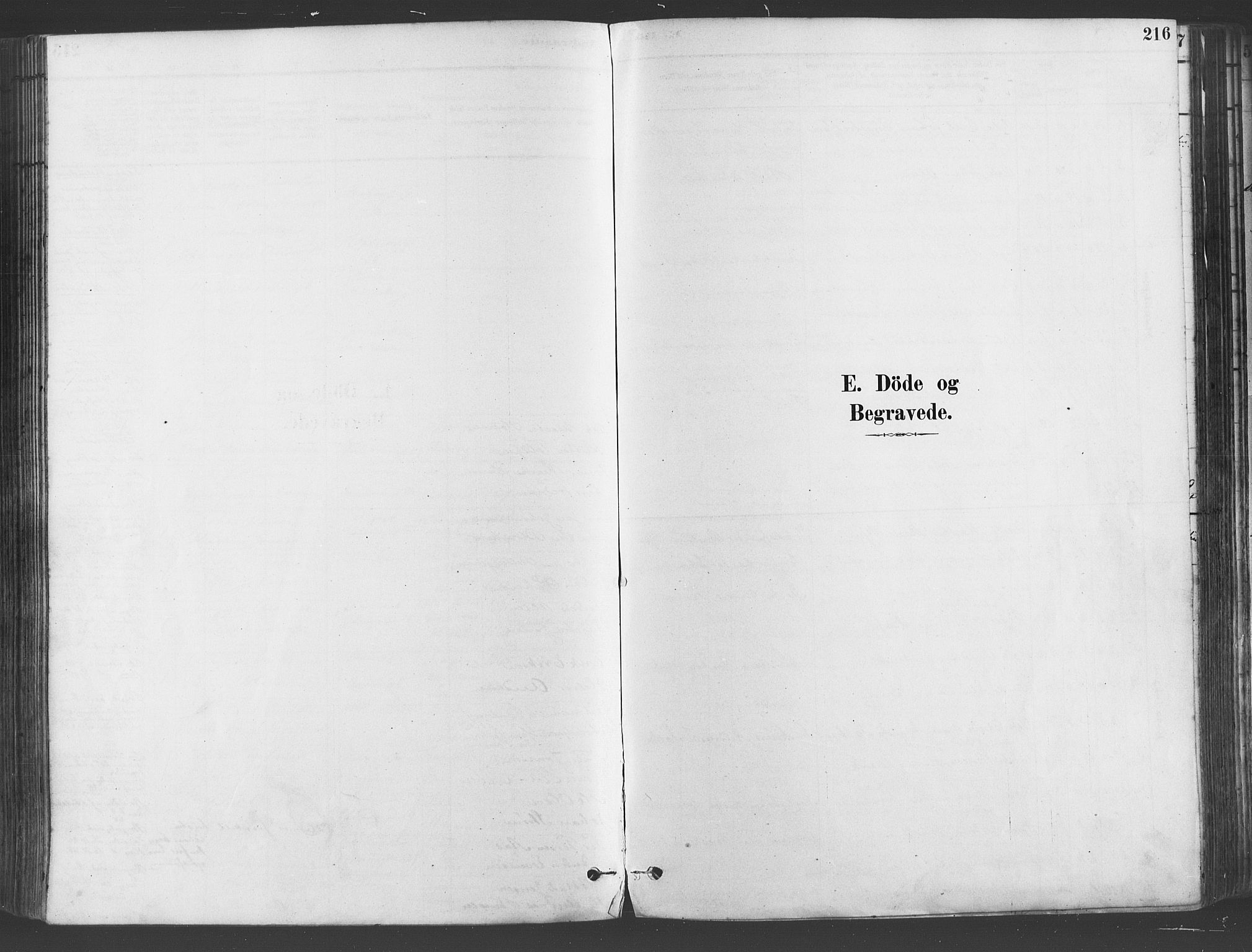Gamlebyen prestekontor Kirkebøker, AV/SAO-A-10884/F/Fa/L0006: Ministerialbok nr. 6, 1881-1890, s. 216