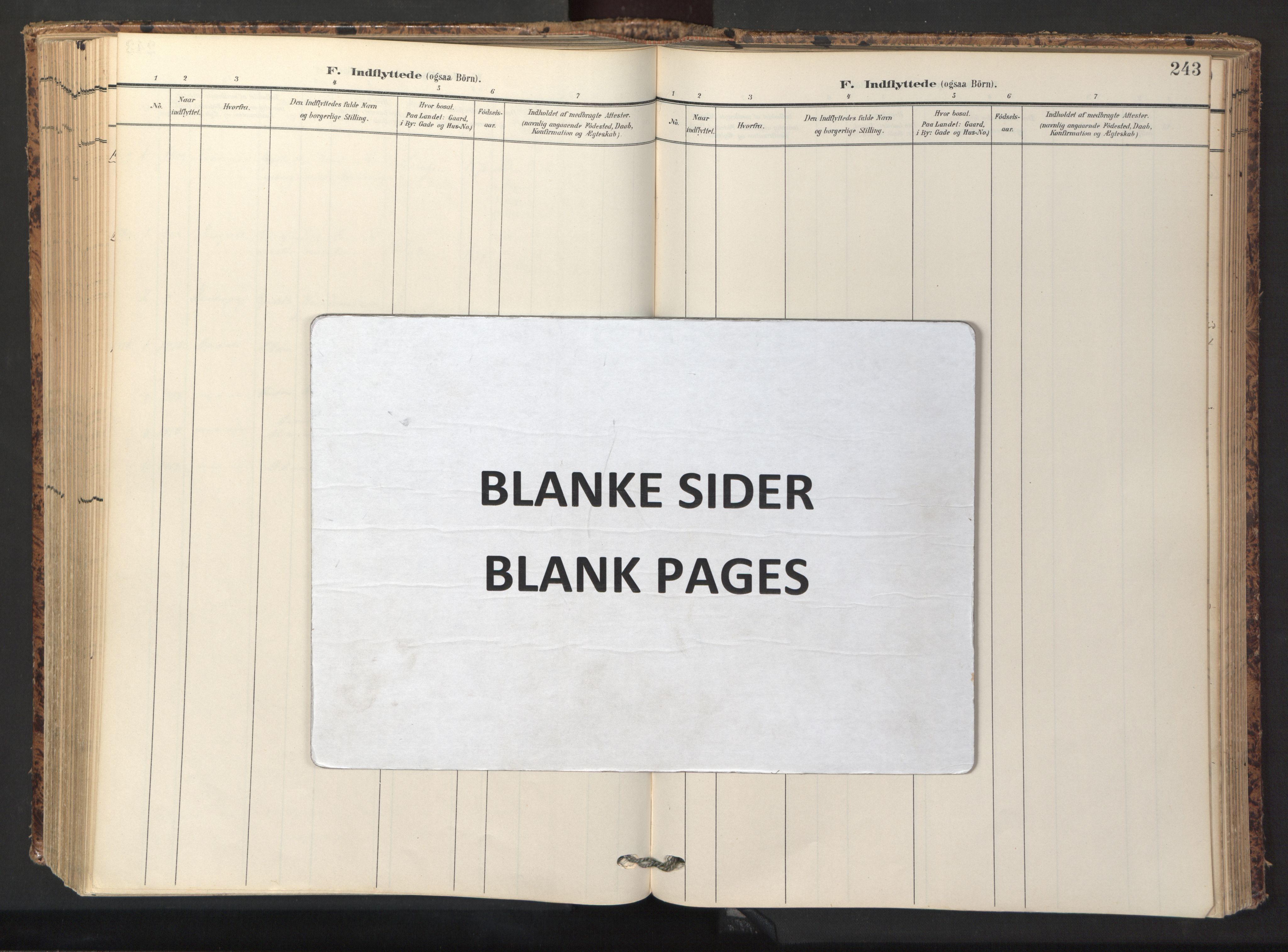 Ministerialprotokoller, klokkerbøker og fødselsregistre - Sør-Trøndelag, SAT/A-1456/674/L0873: Ministerialbok nr. 674A05, 1908-1923, s. 243