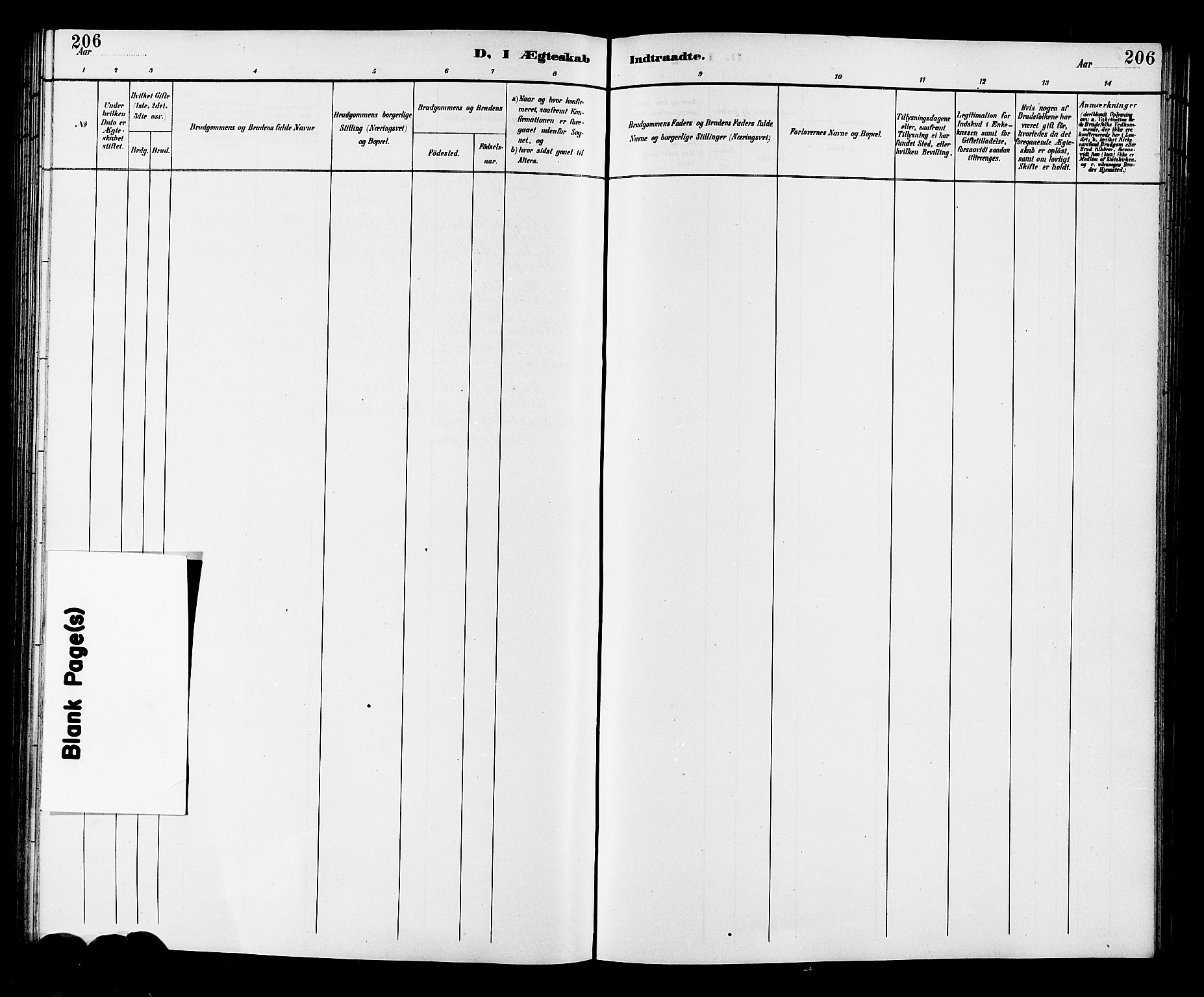 Fiskum kirkebøker, AV/SAKO-A-15/G/Ga/L0005: Klokkerbok nr. 5, 1887-1912, s. 206