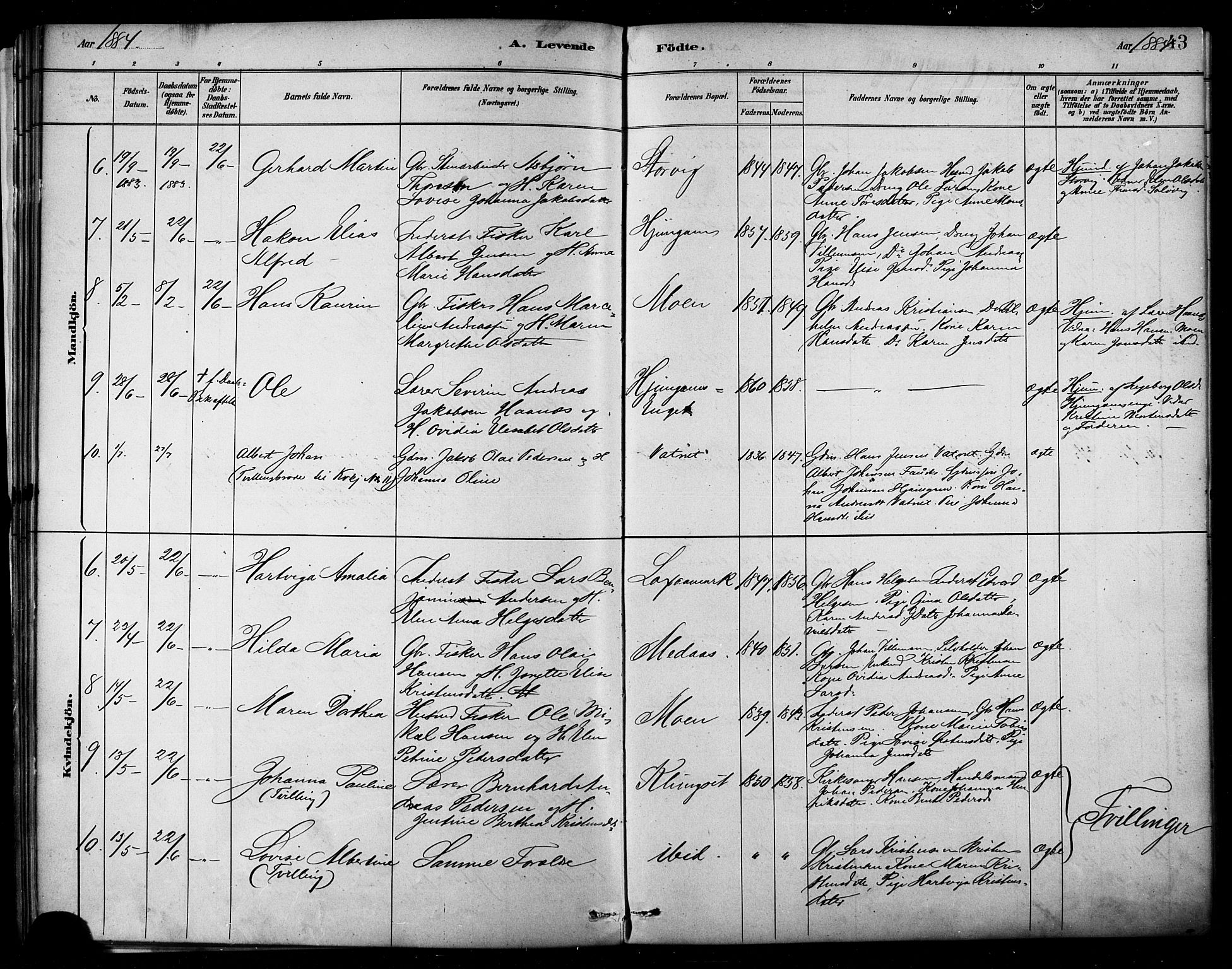 Ministerialprotokoller, klokkerbøker og fødselsregistre - Nordland, AV/SAT-A-1459/849/L0689: Ministerialbok nr. 849A01, 1879-1889, s. 43