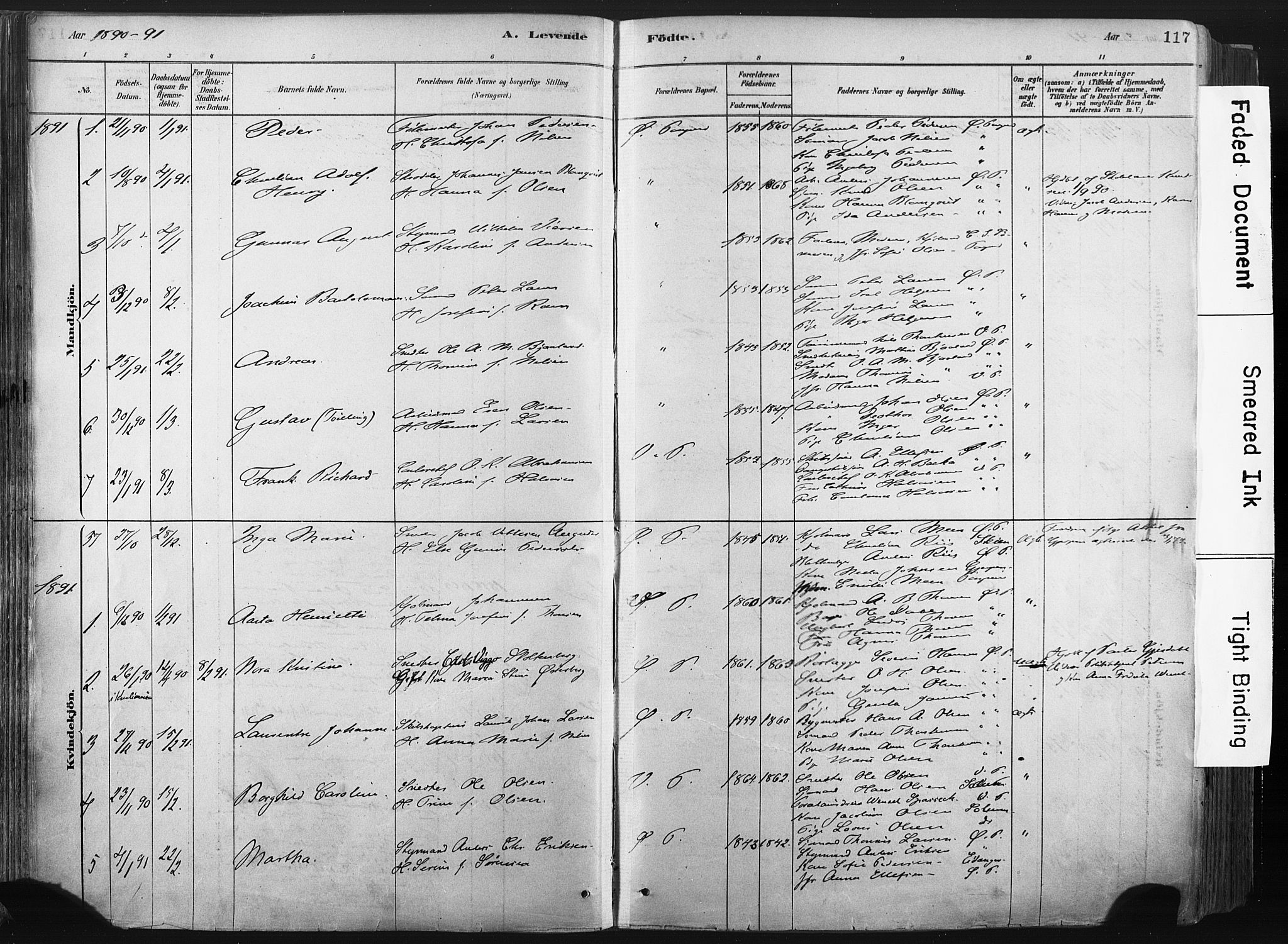 Porsgrunn kirkebøker , AV/SAKO-A-104/F/Fa/L0008: Ministerialbok nr. 8, 1878-1895, s. 117