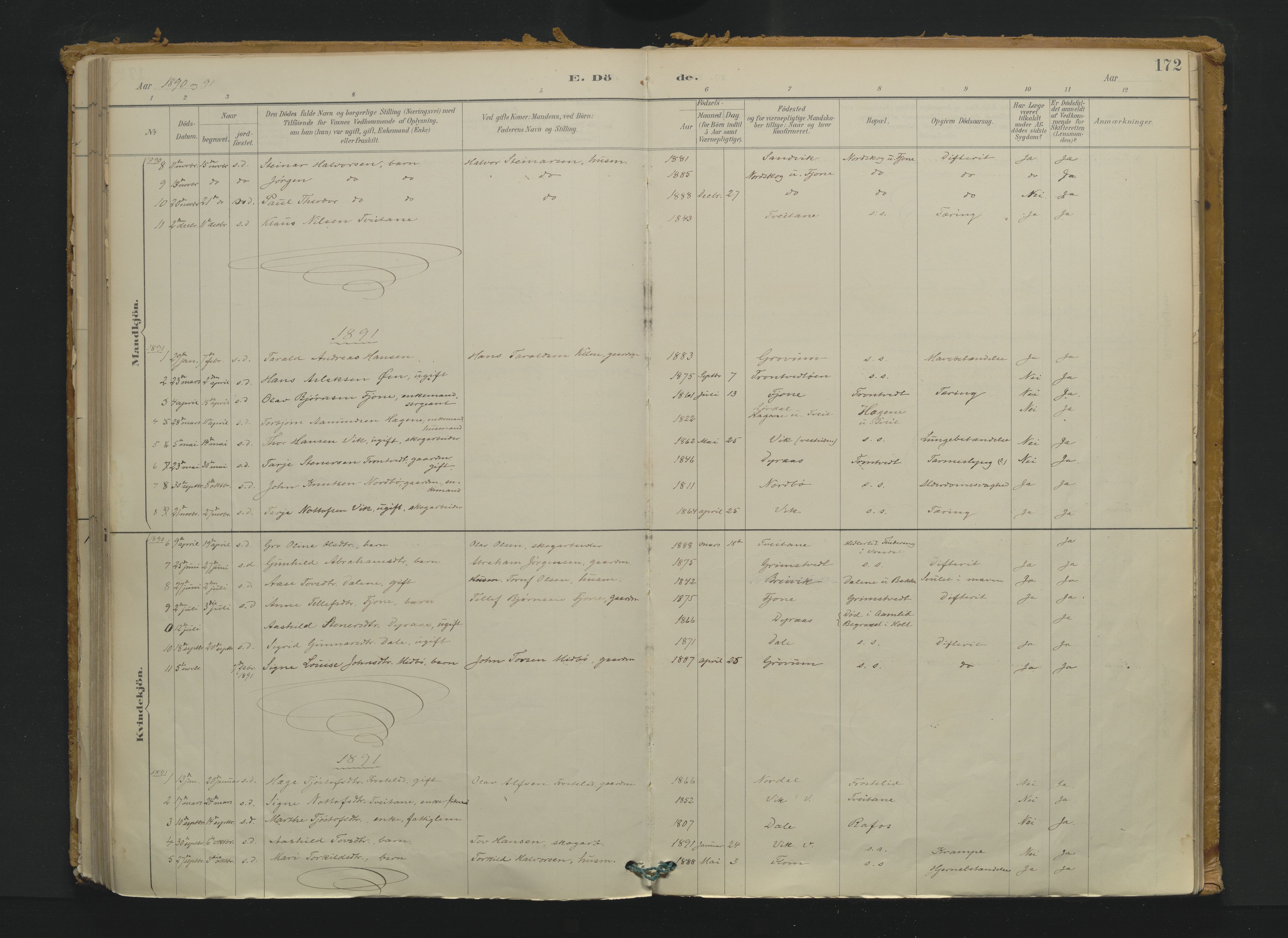 Nissedal kirkebøker, AV/SAKO-A-288/F/Fa/L0005: Ministerialbok nr. I 5, 1887-1924, s. 172