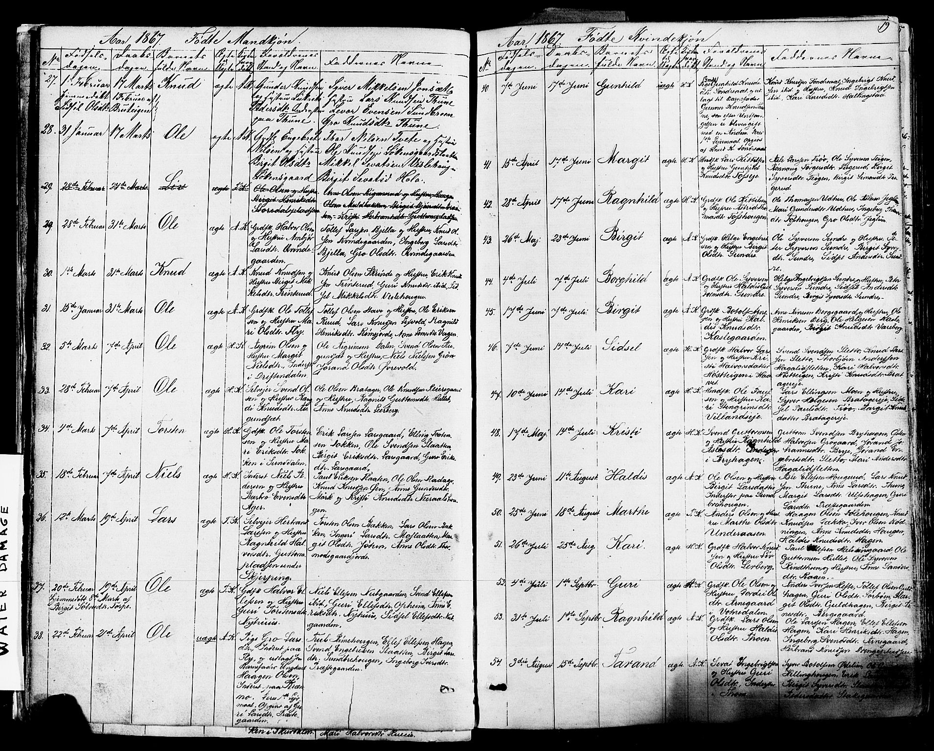 Ål kirkebøker, AV/SAKO-A-249/F/Fa/L0007: Ministerialbok nr. I 7, 1865-1881, s. 19