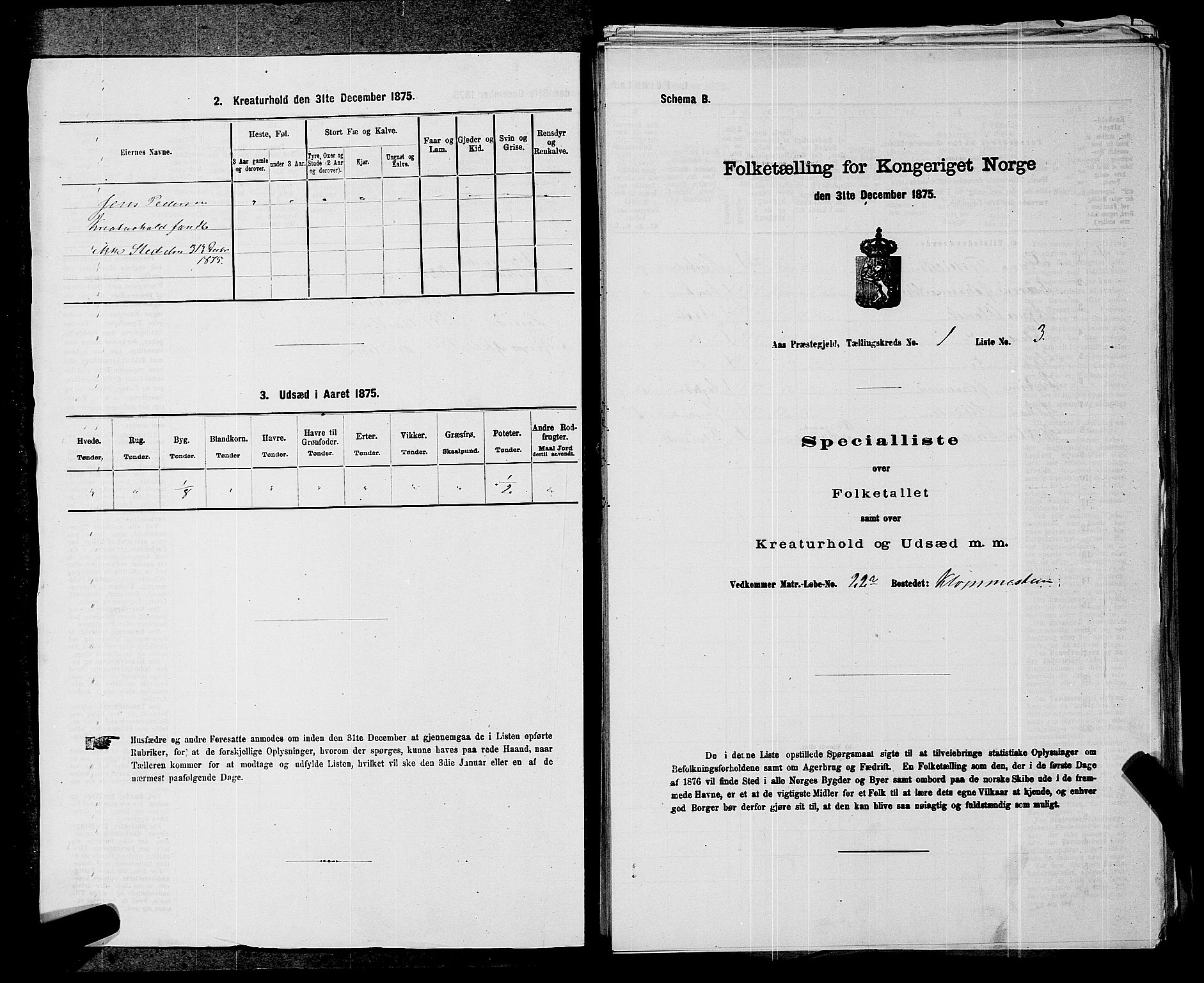 RA, Folketelling 1875 for 0214P Ås prestegjeld, 1875, s. 25