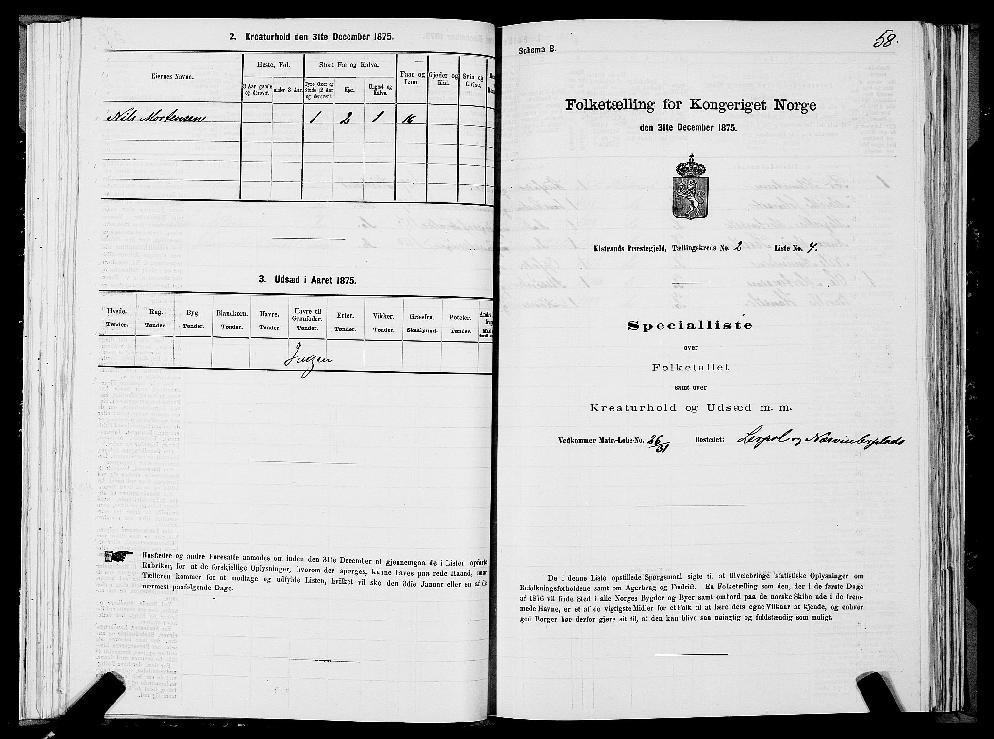 SATØ, Folketelling 1875 for 2020P Kistrand prestegjeld, 1875, s. 1058