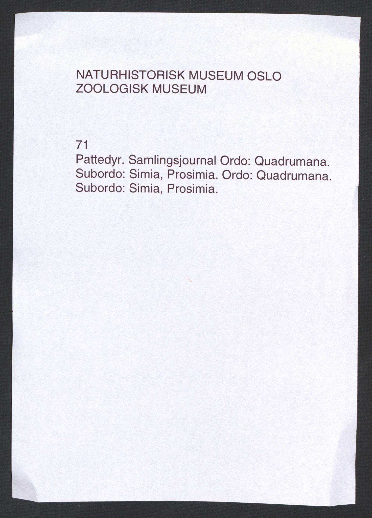 Naturhistorisk museum (Oslo), NHMO/-/4