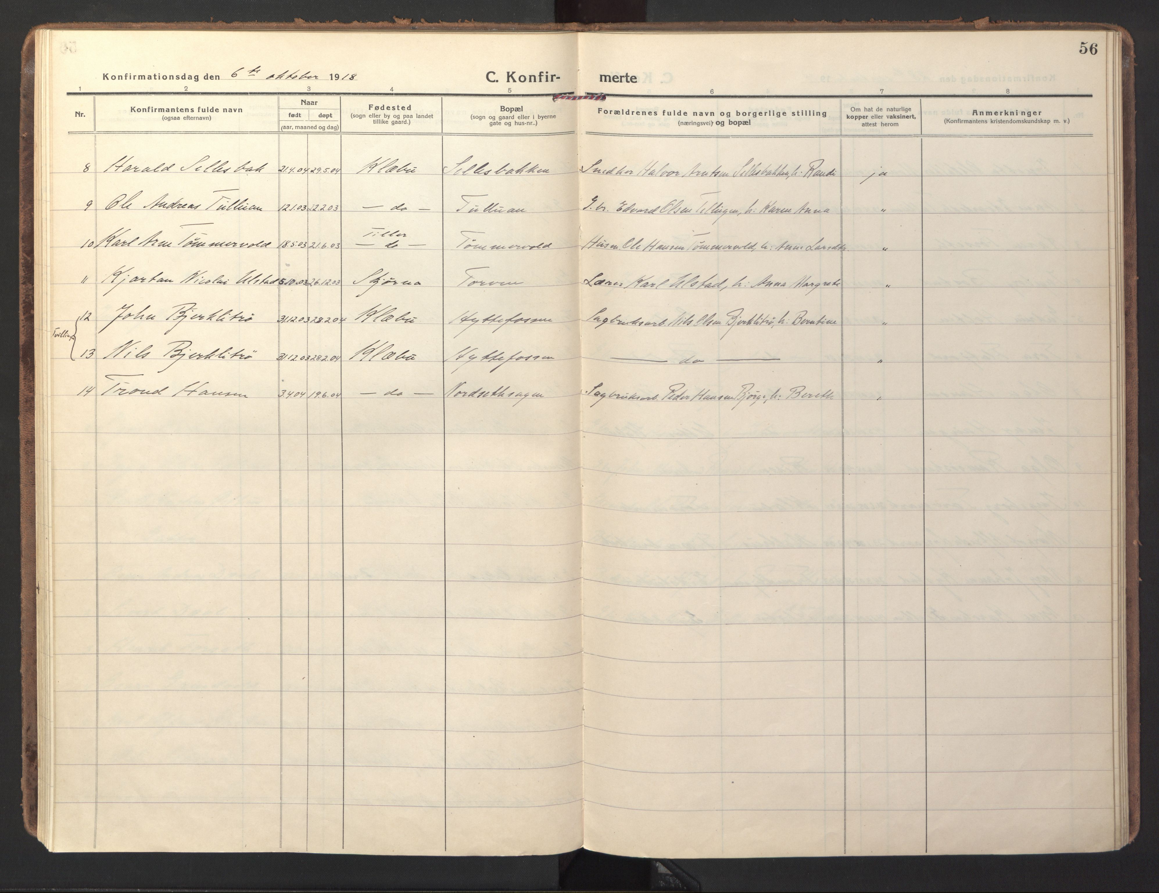 Ministerialprotokoller, klokkerbøker og fødselsregistre - Sør-Trøndelag, SAT/A-1456/618/L0449: Ministerialbok nr. 618A12, 1917-1924, s. 56