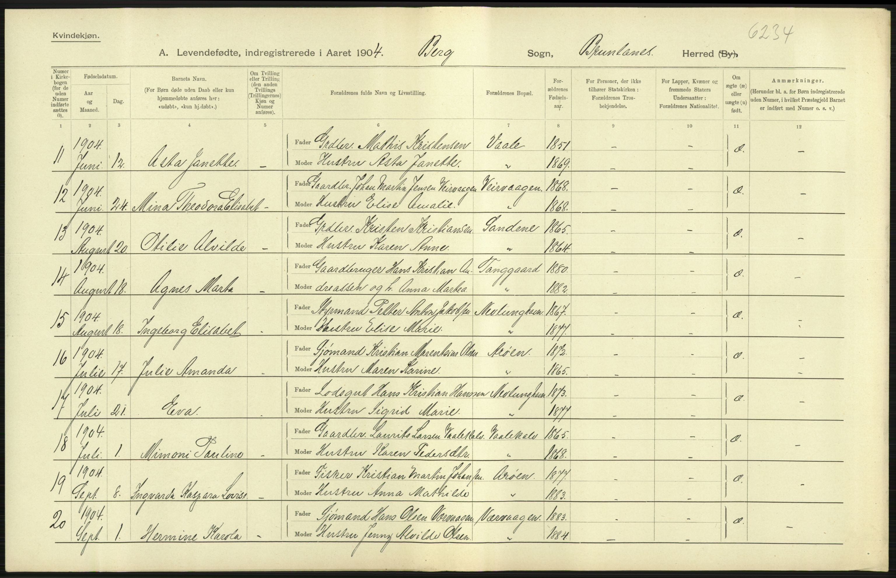 Statistisk sentralbyrå, Sosiodemografiske emner, Befolkning, AV/RA-S-2228/D/Df/Dfa/Dfab/L0008: Jarlsberg og Larvig amt: Fødte, gifte, døde, 1904, s. 53