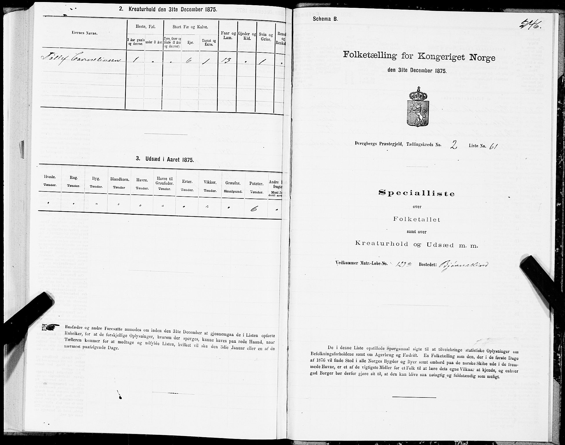 SAT, Folketelling 1875 for 1872P Dverberg prestegjeld, 1875, s. 1246