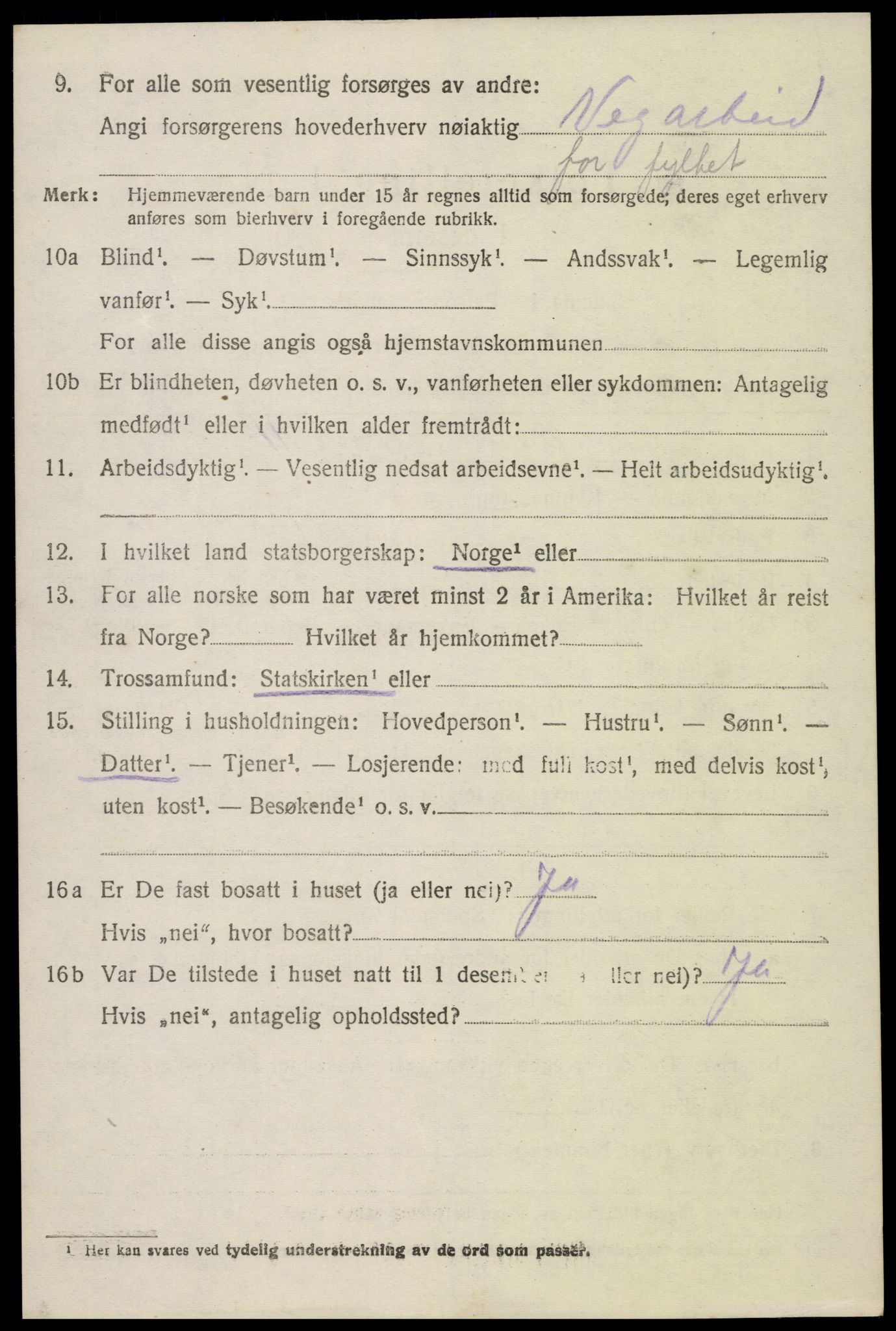 SAK, Folketelling 1920 for 0936 Hornnes herred, 1920, s. 1032