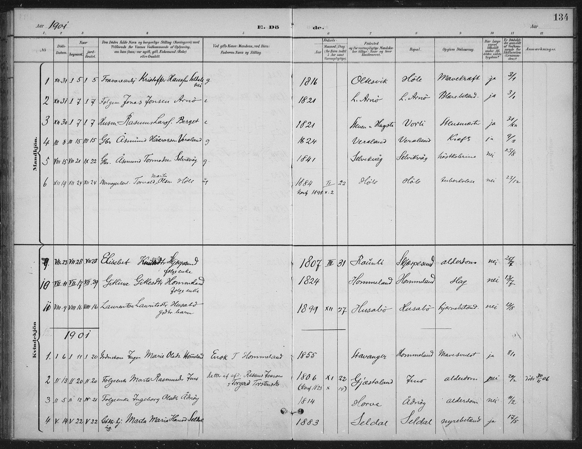 Høgsfjord sokneprestkontor, SAST/A-101624/H/Ha/Haa/L0008: Ministerialbok nr. A 8, 1898-1920, s. 134