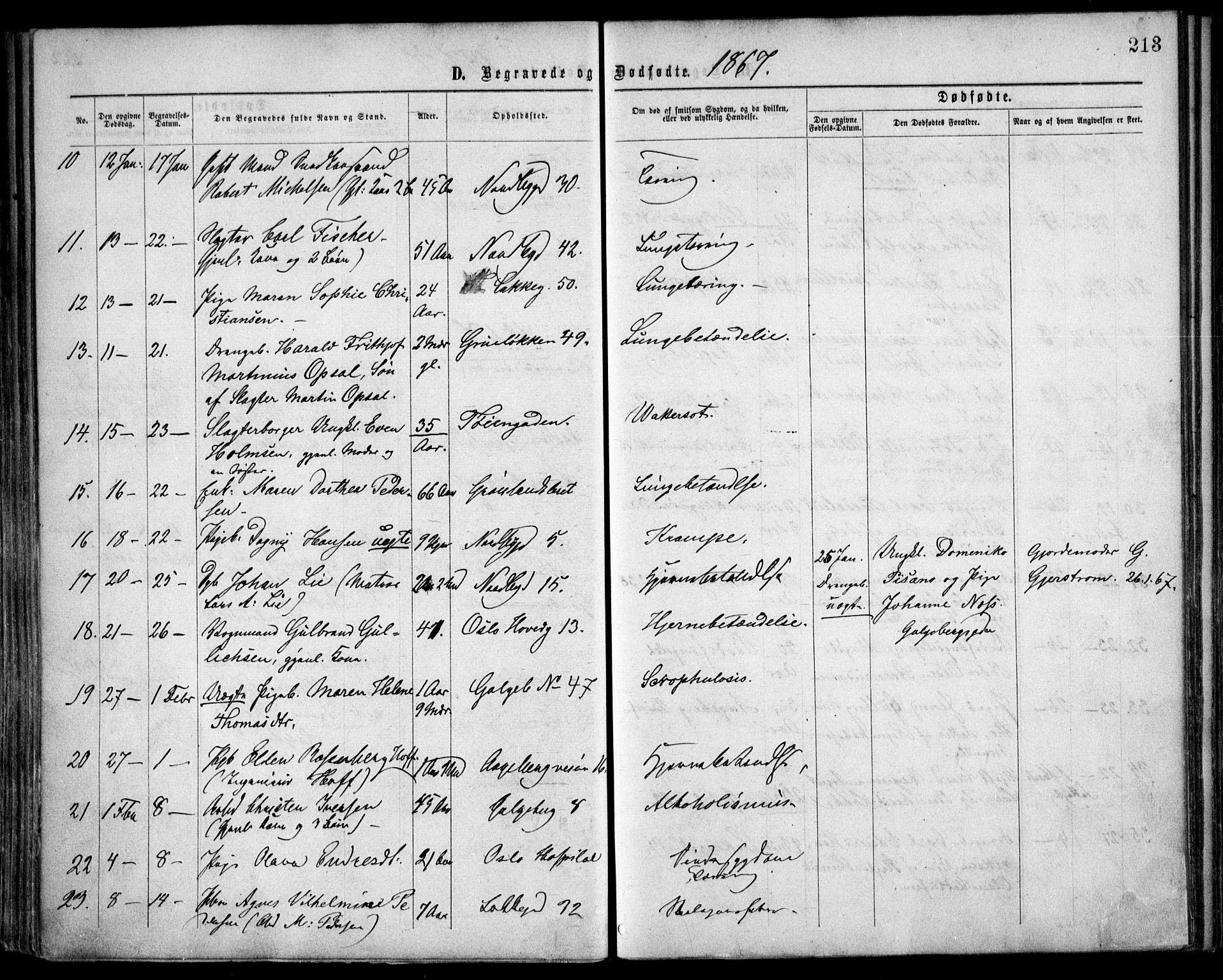 Grønland prestekontor Kirkebøker, SAO/A-10848/F/Fa/L0003: Ministerialbok nr. 3, 1862-1868, s. 213