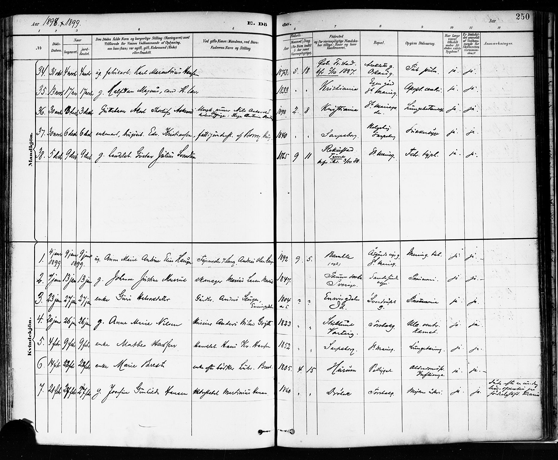 Sarpsborg prestekontor Kirkebøker, AV/SAO-A-2006/F/Fa/L0004: Ministerialbok nr. 4, 1892-1899, s. 250