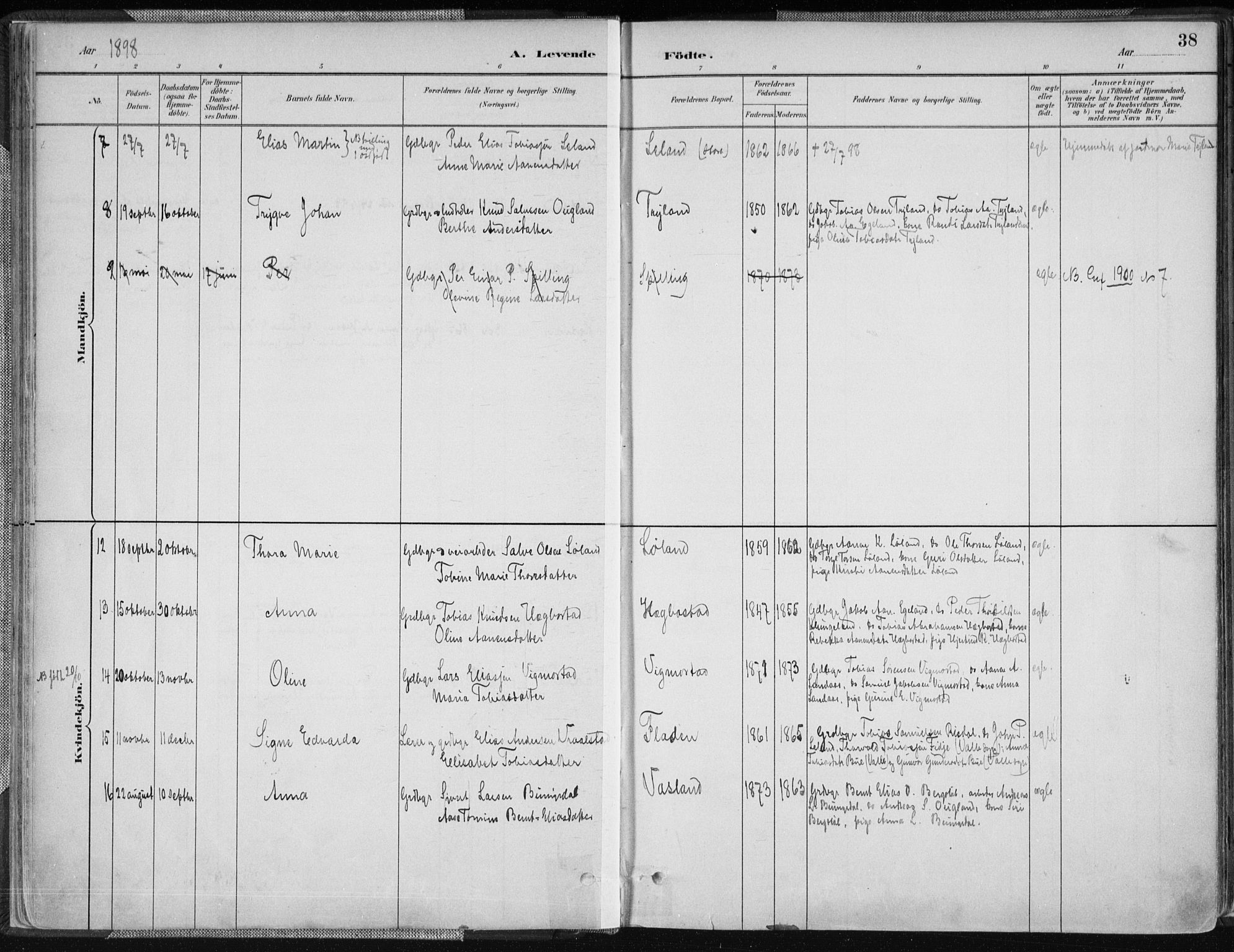 Nord-Audnedal sokneprestkontor, AV/SAK-1111-0032/F/Fa/Fab/L0003: Ministerialbok nr. A 3, 1882-1900, s. 38